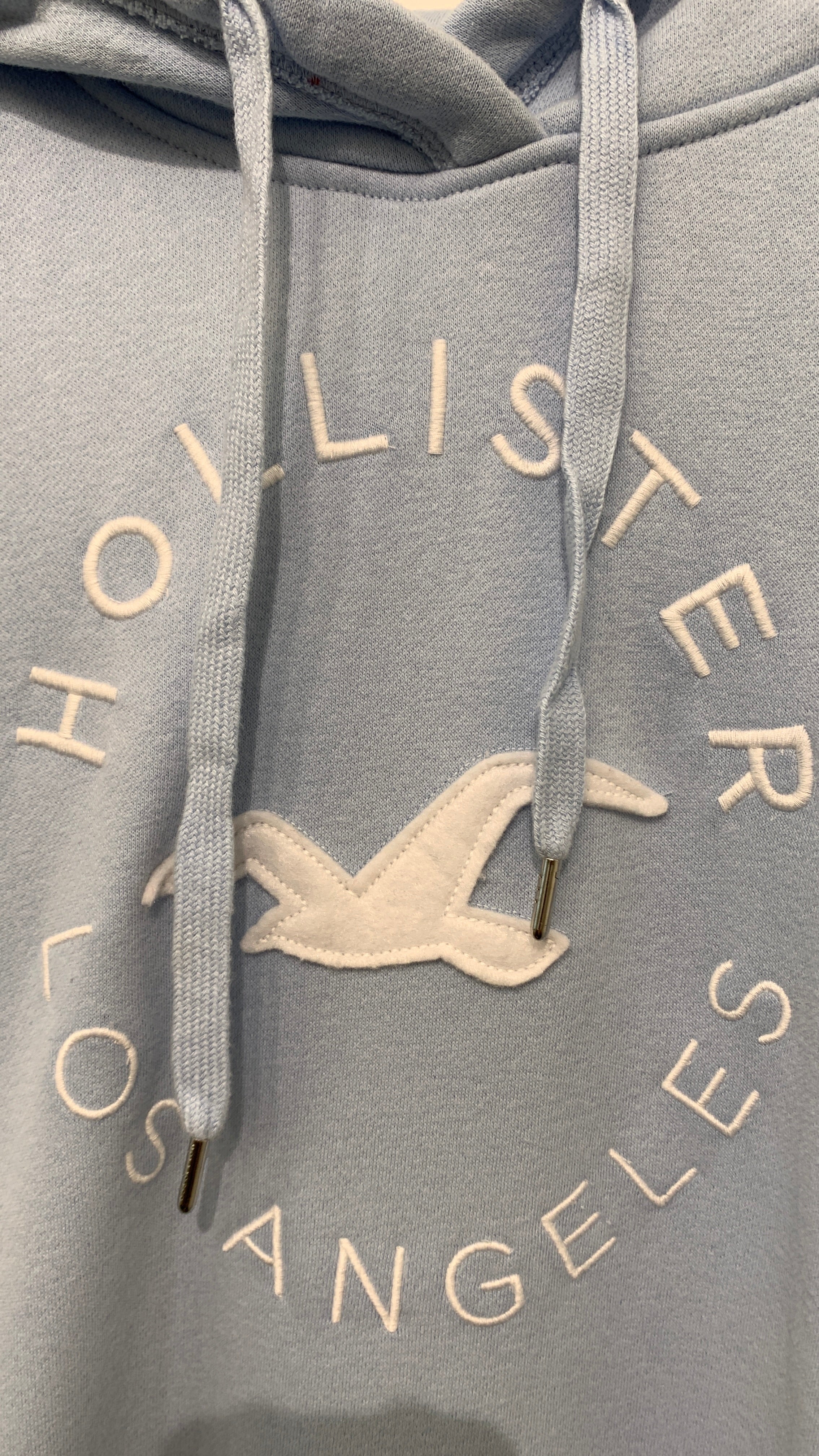 Hollister Hoodie