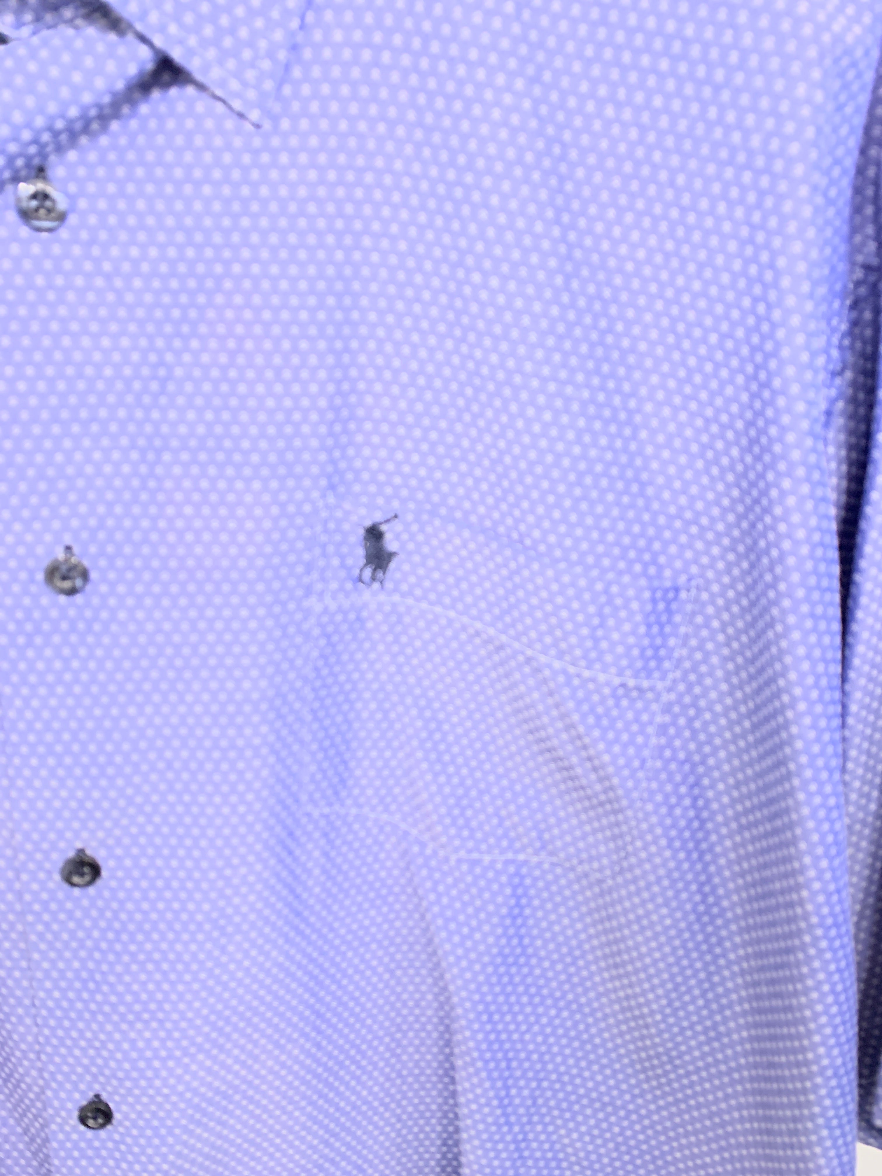 Polo by Ralph Lauren Skjorte