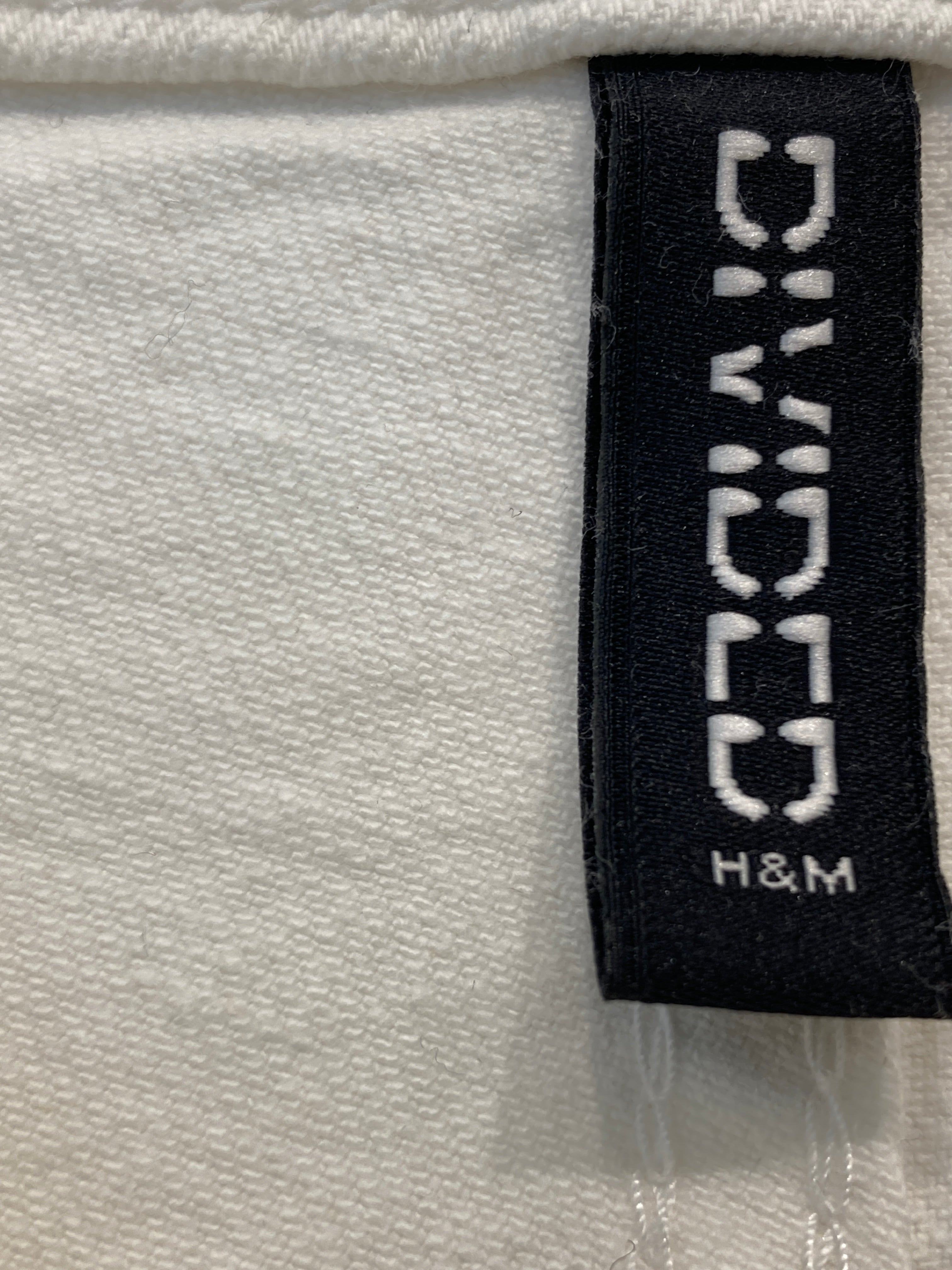 Divided Shorts