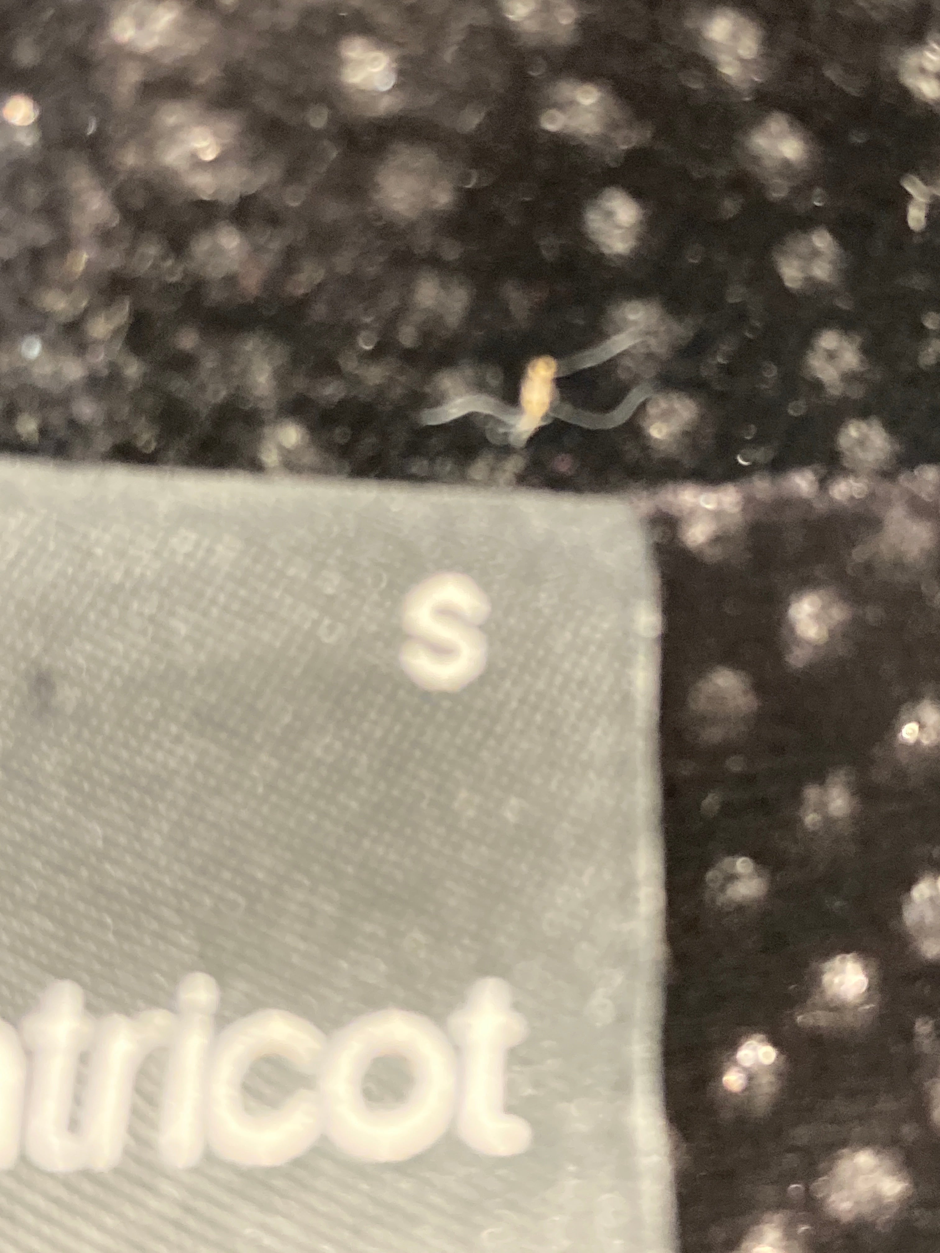 Gina Tricot Sæt