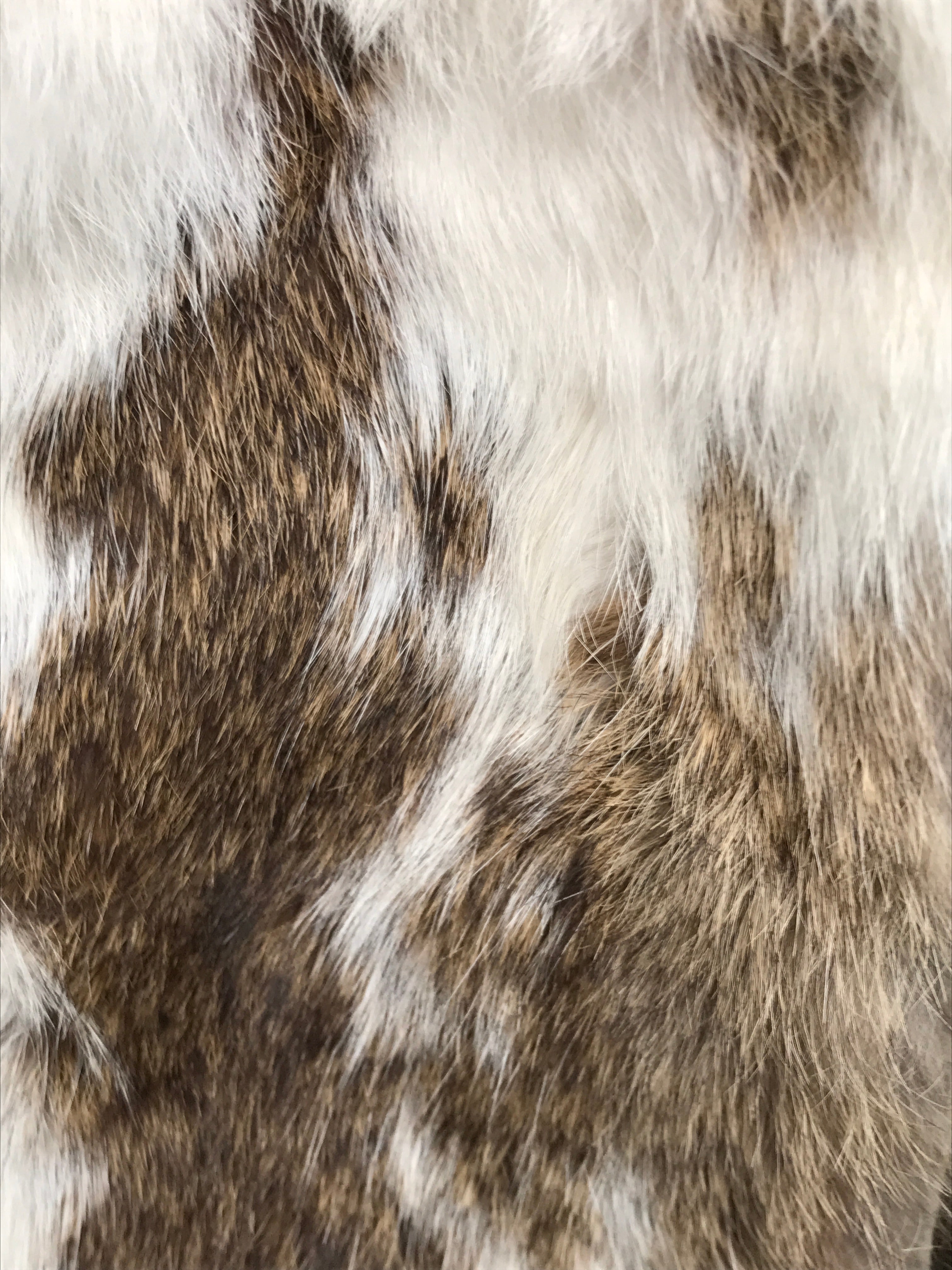 Creton Vest