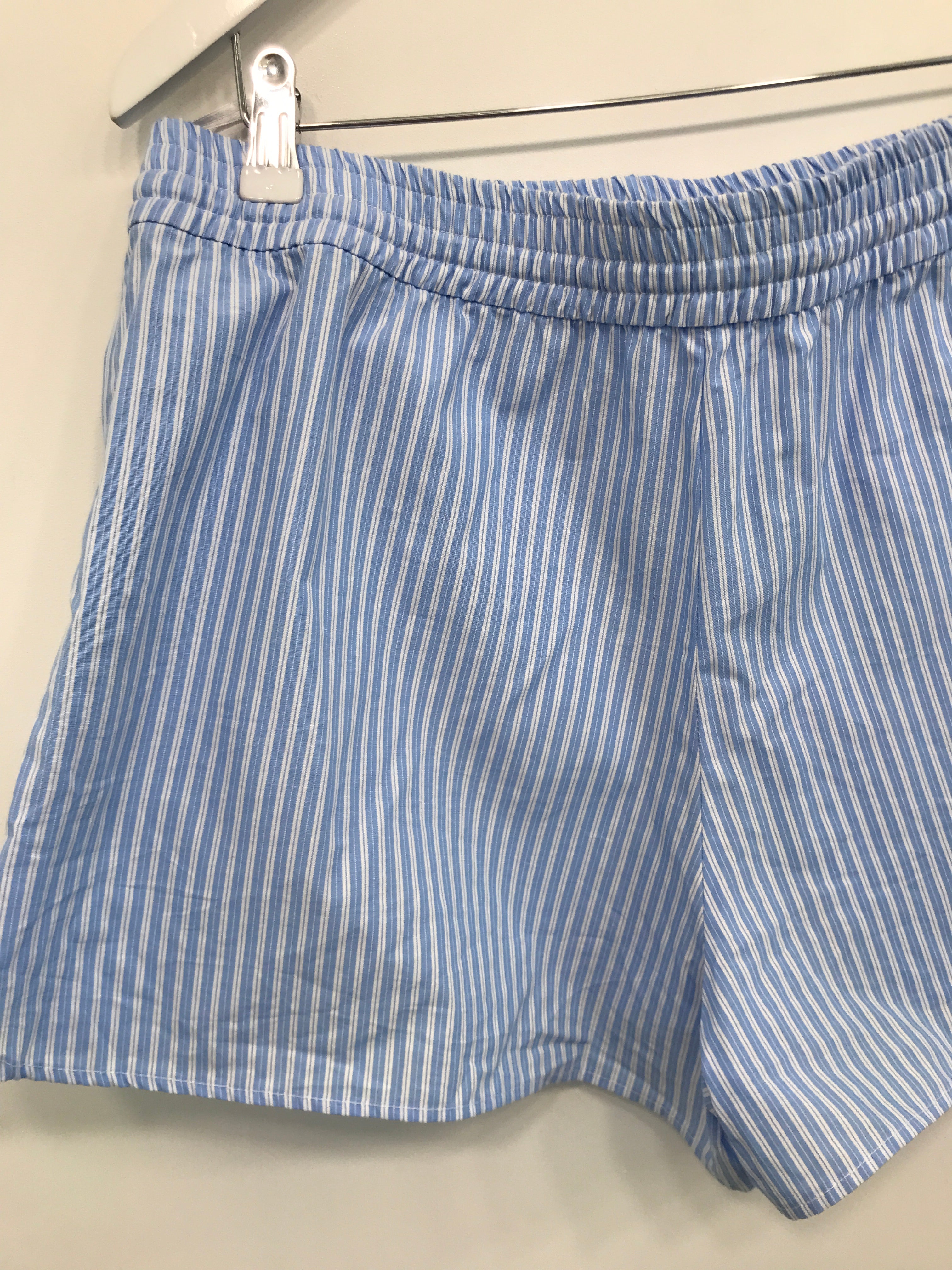 Zara Shorts