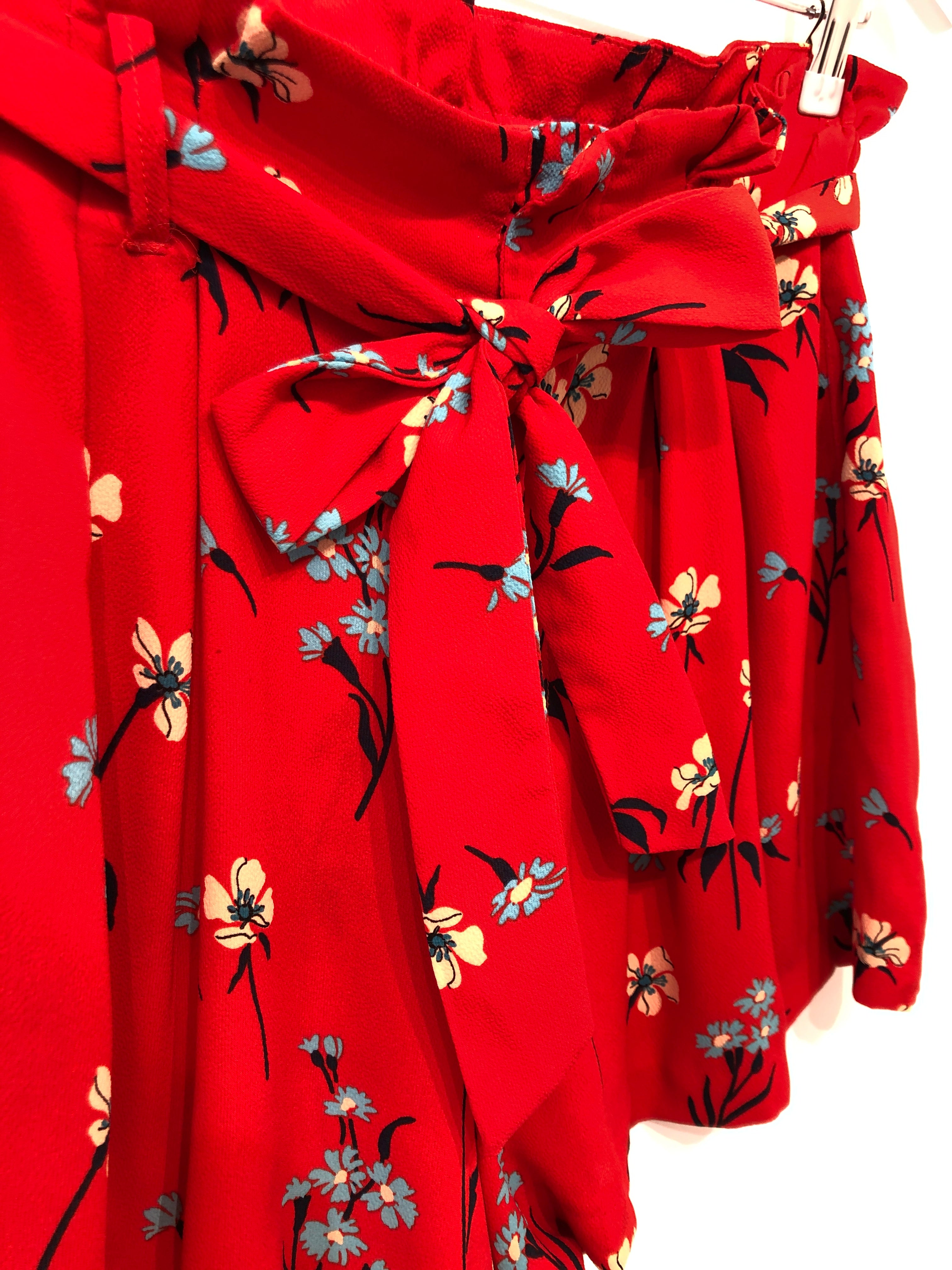 Zara Shorts