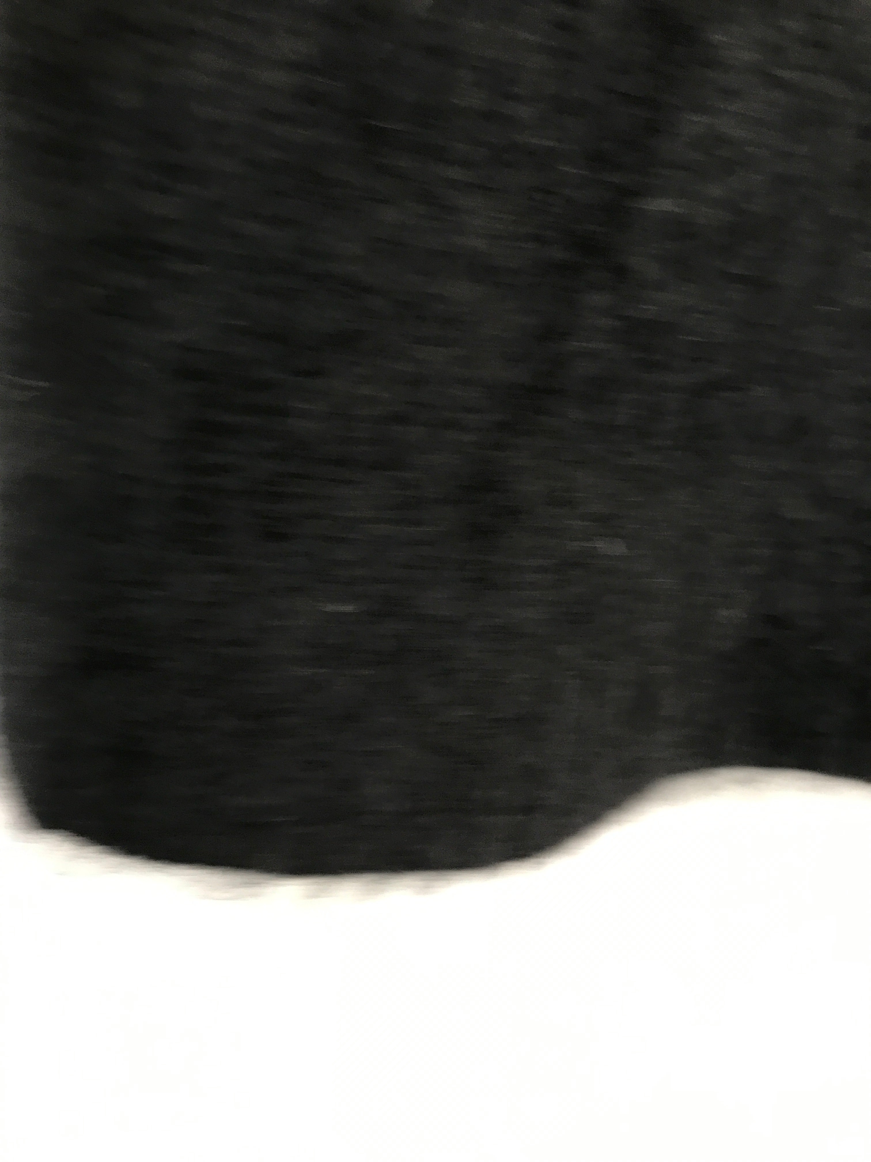 Six Ames vest