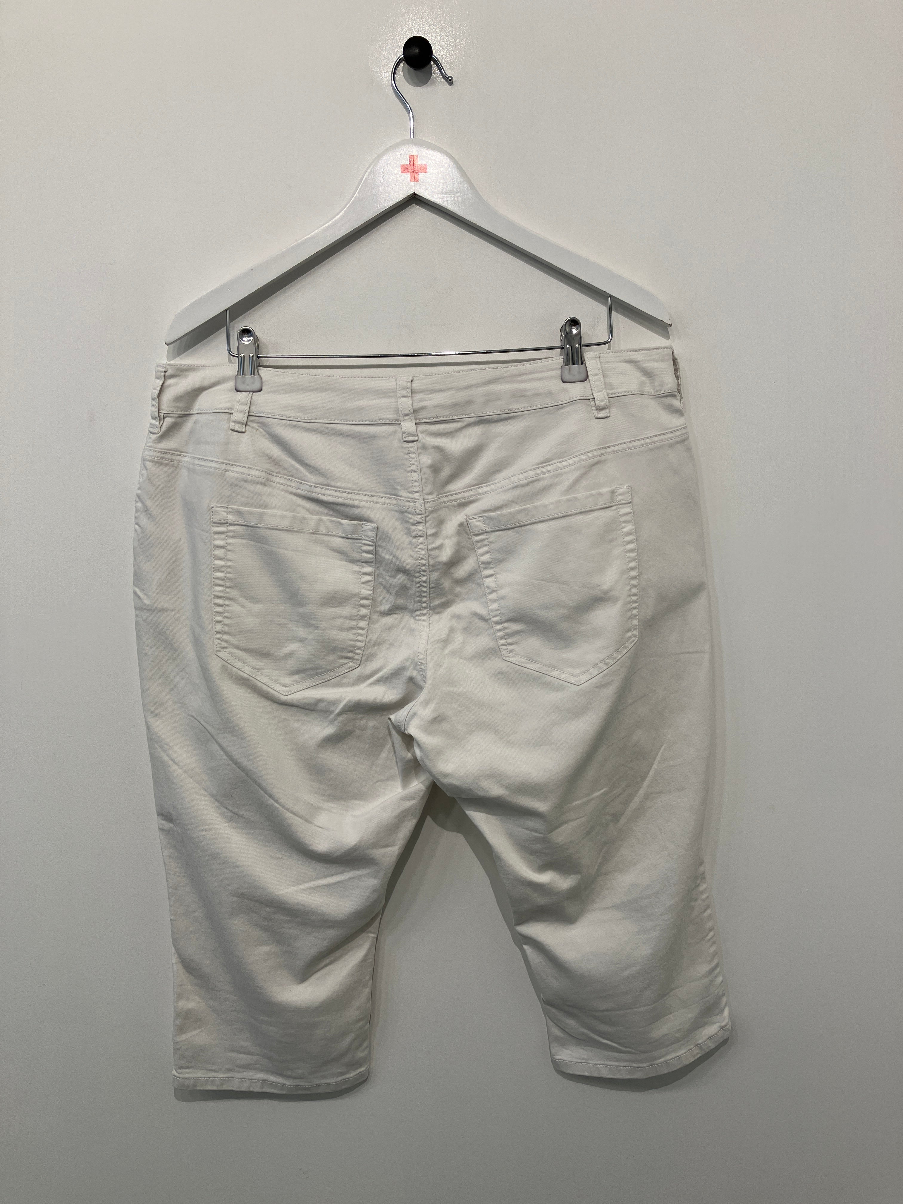 Zizzi Shorts