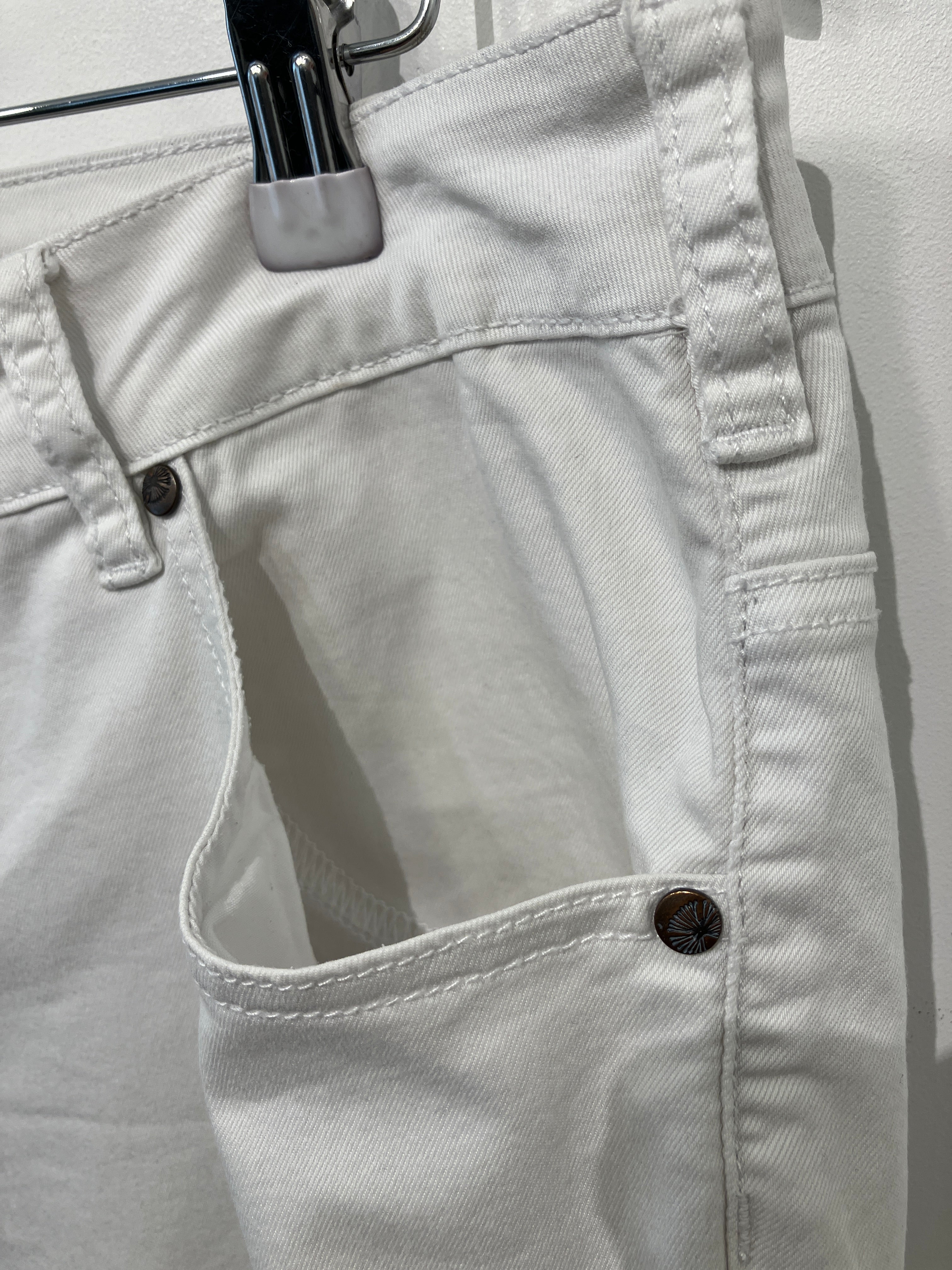 Zizzi Shorts
