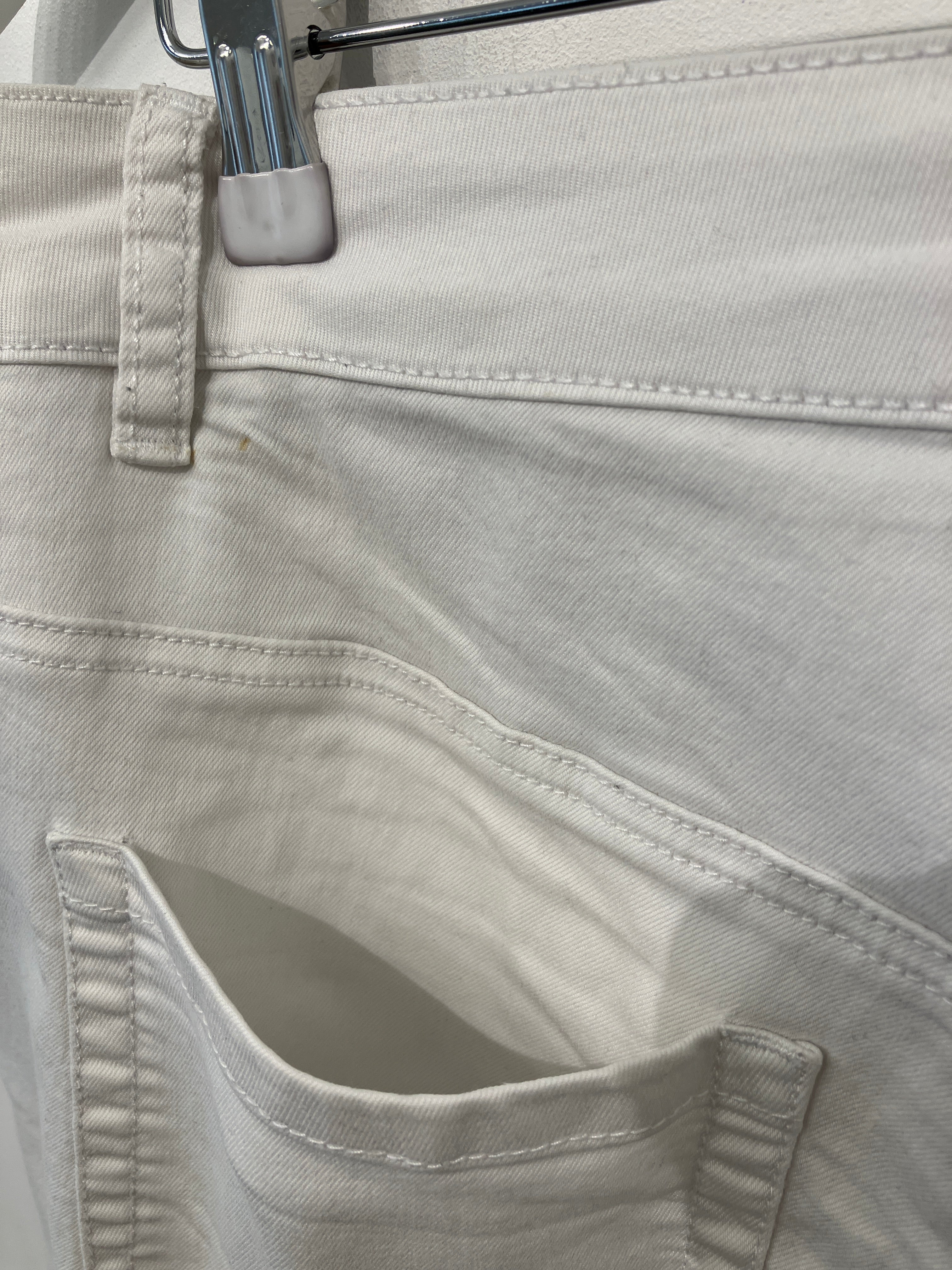 Zizzi Shorts