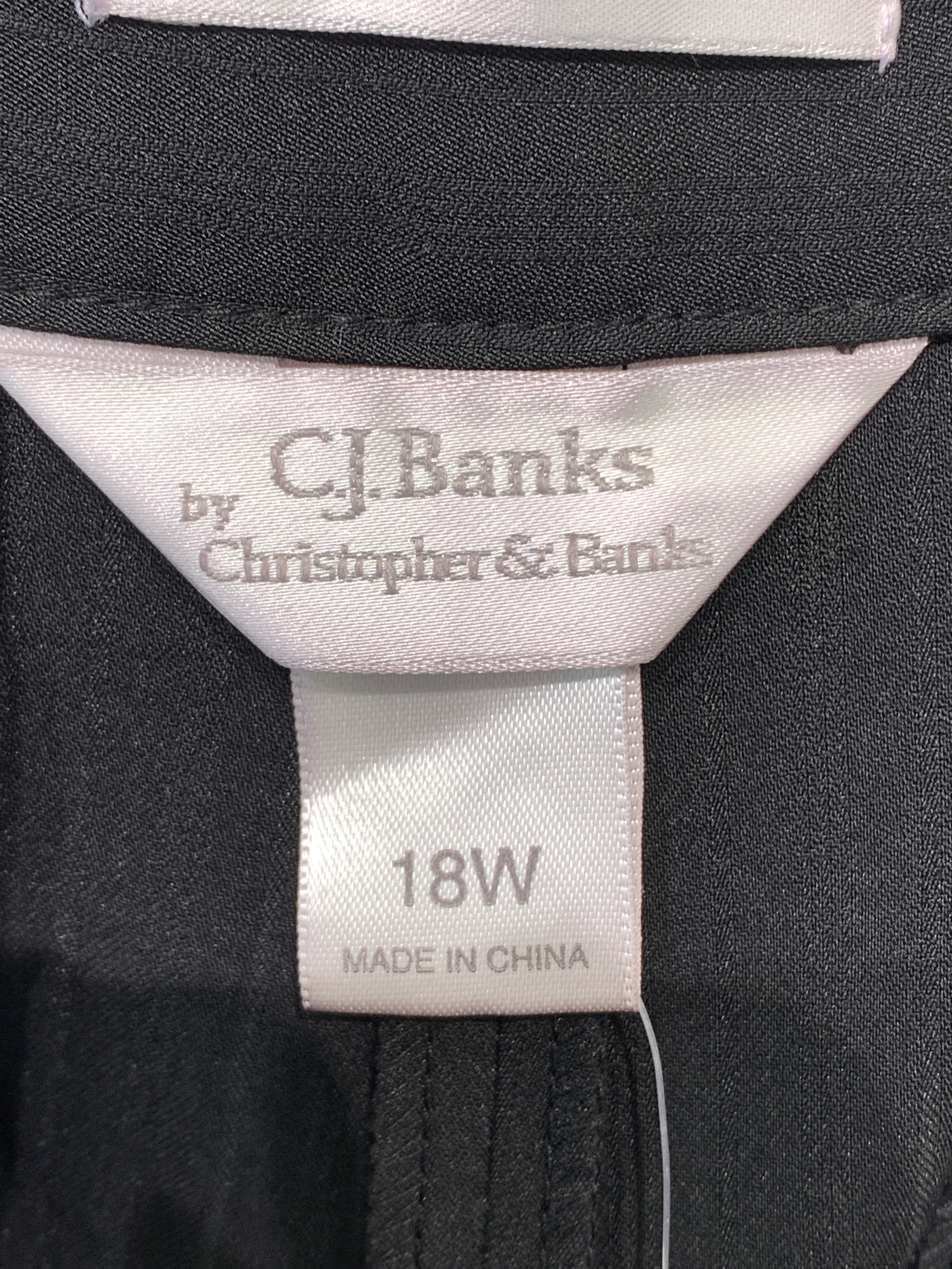 Christopher & Banks Shorts