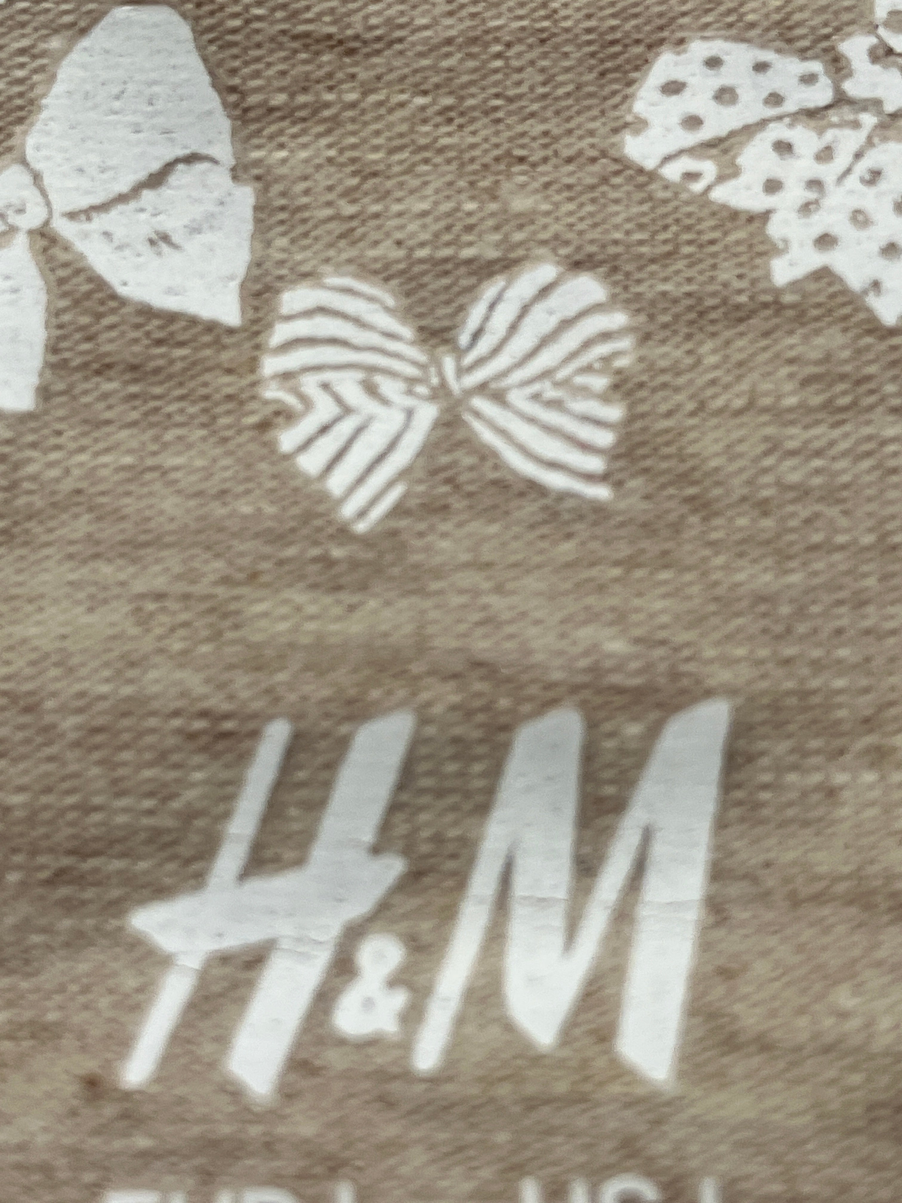 H&M Top