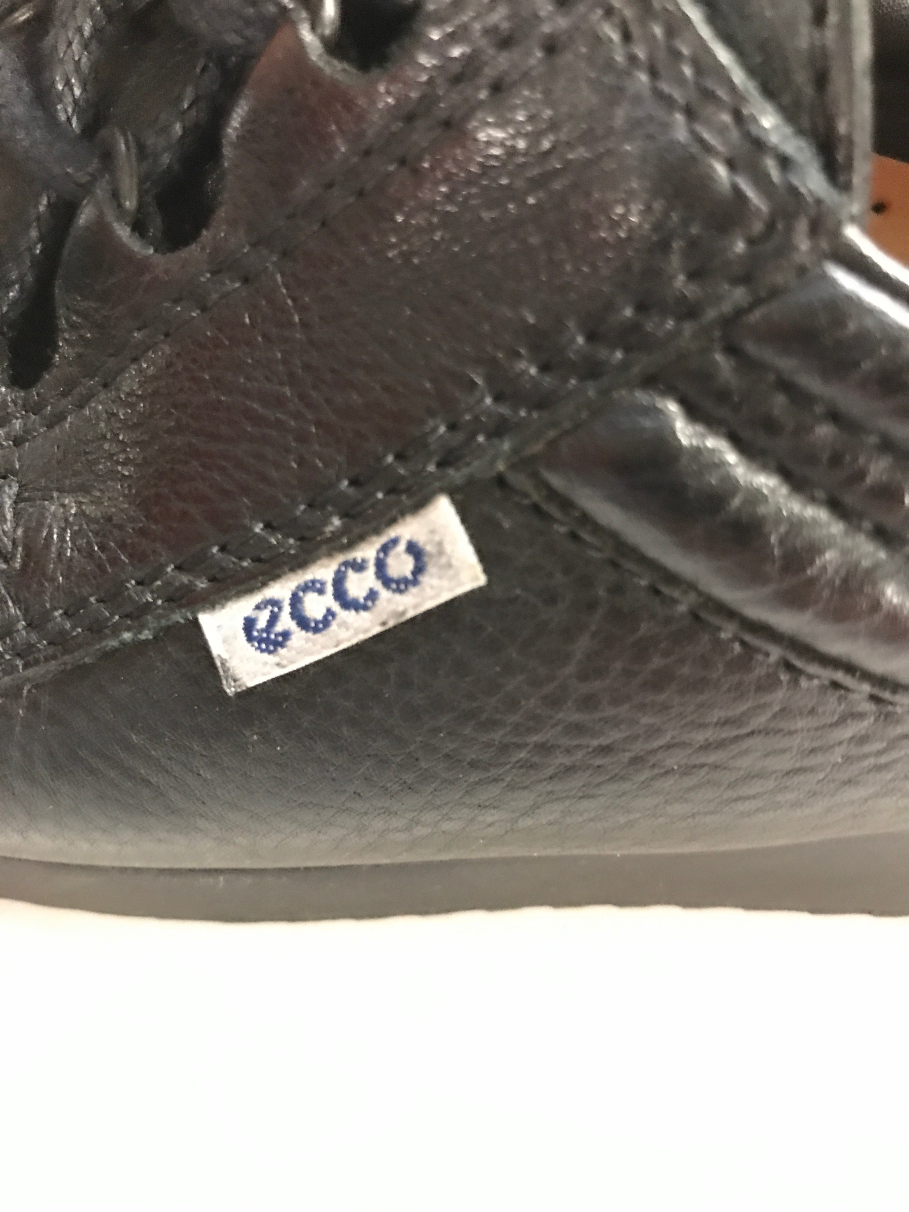 Ecco Sko