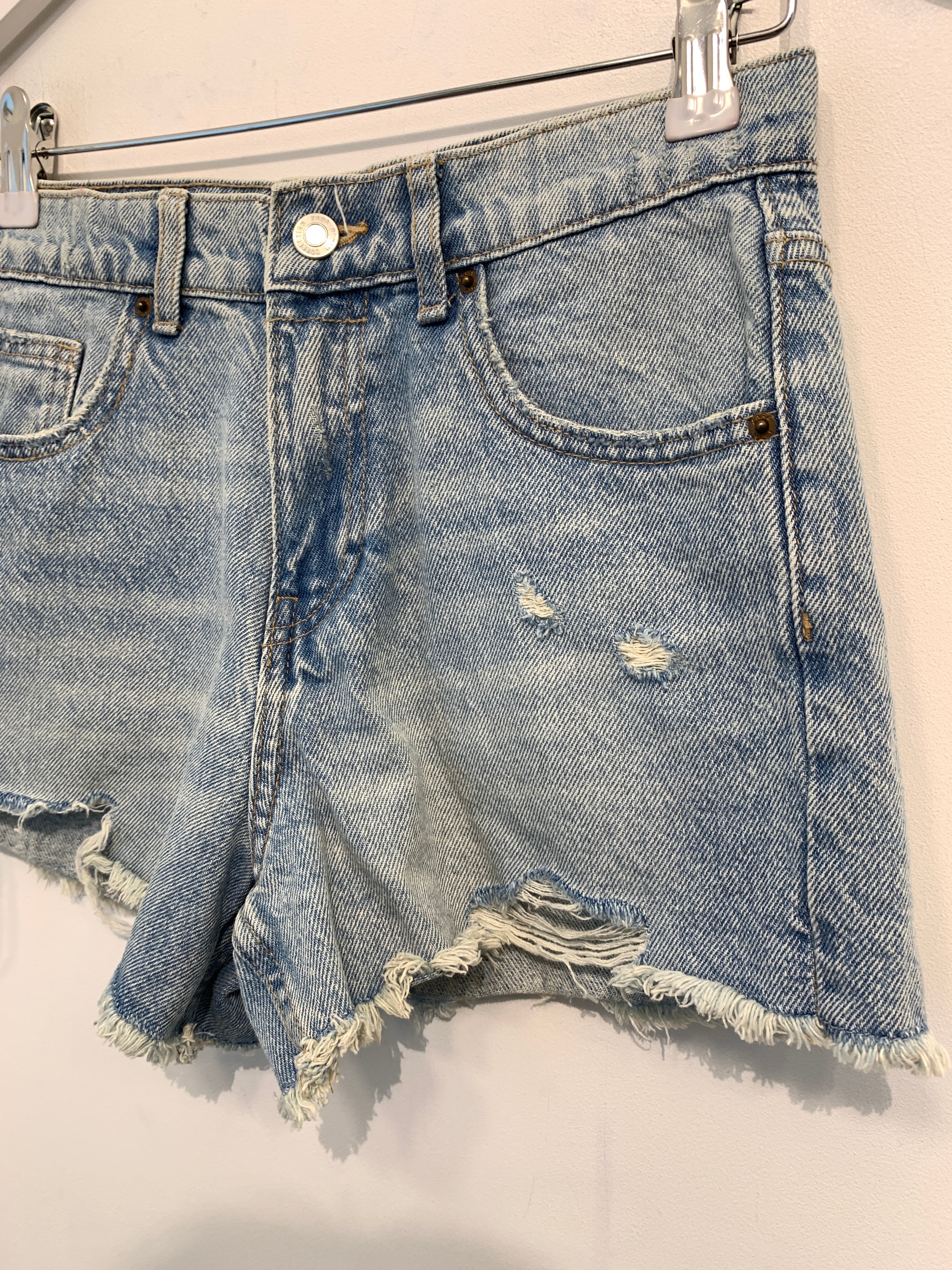 Zara Shorts