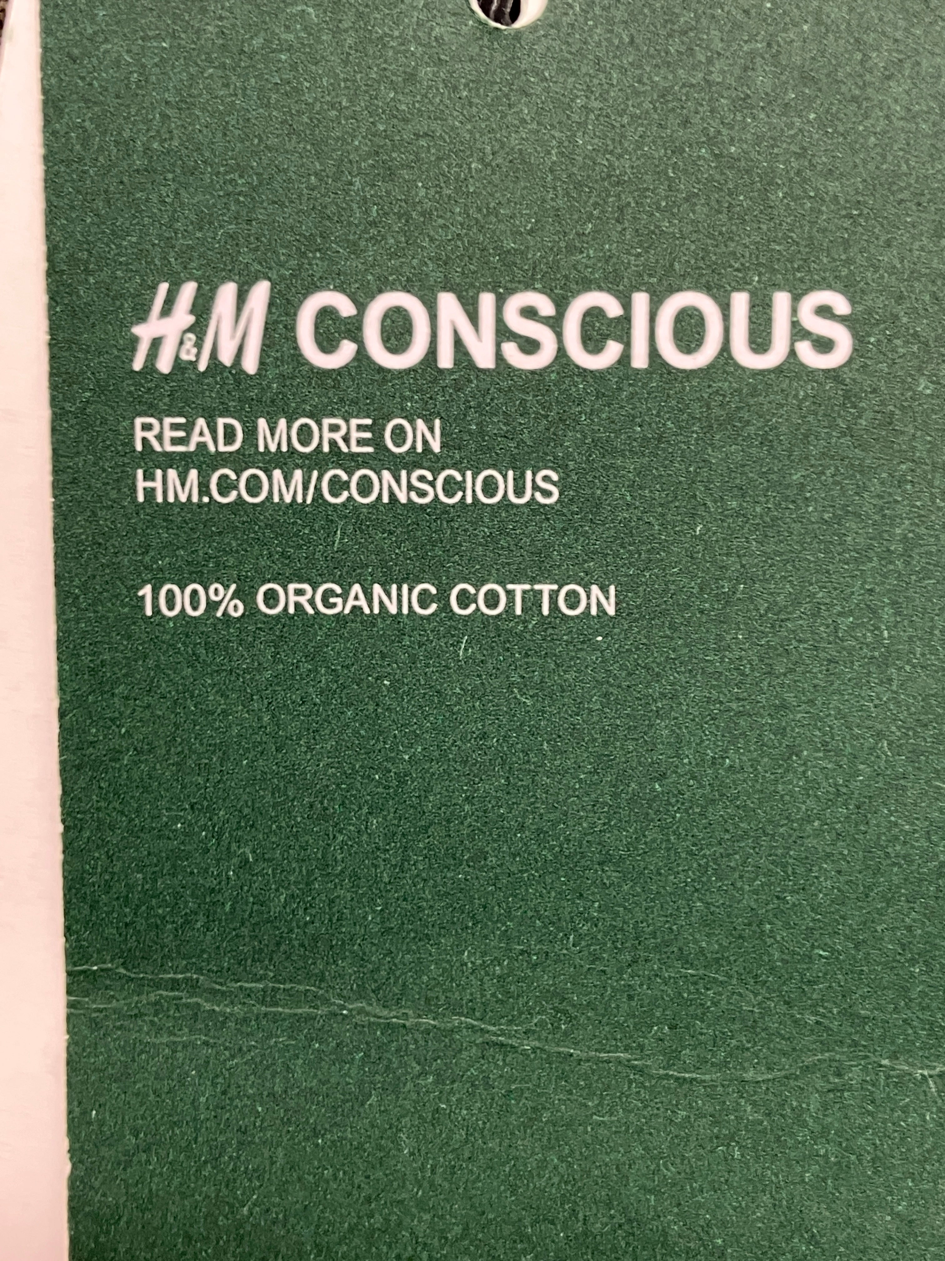 H&M Bluse