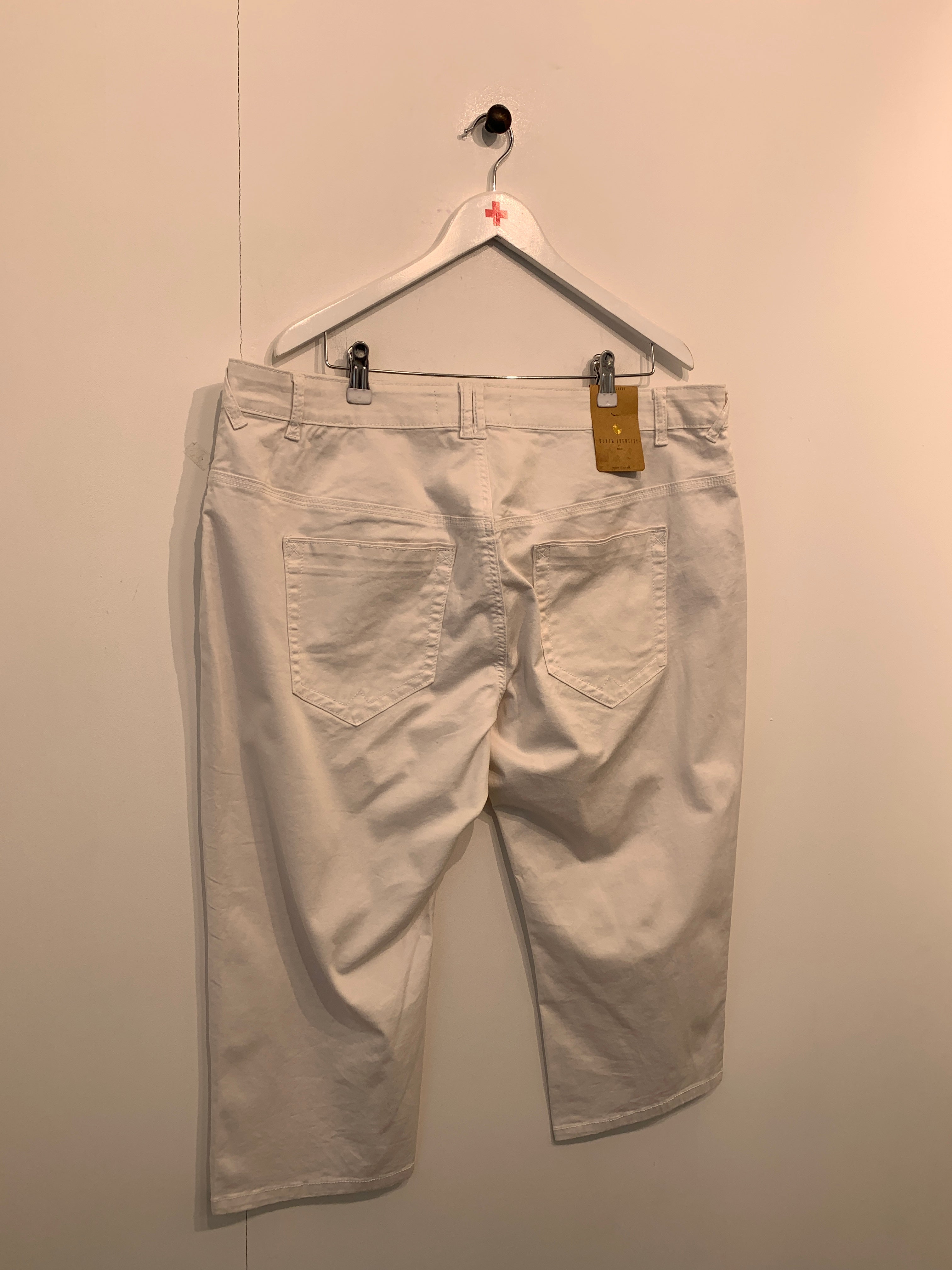 Zizzi shorts