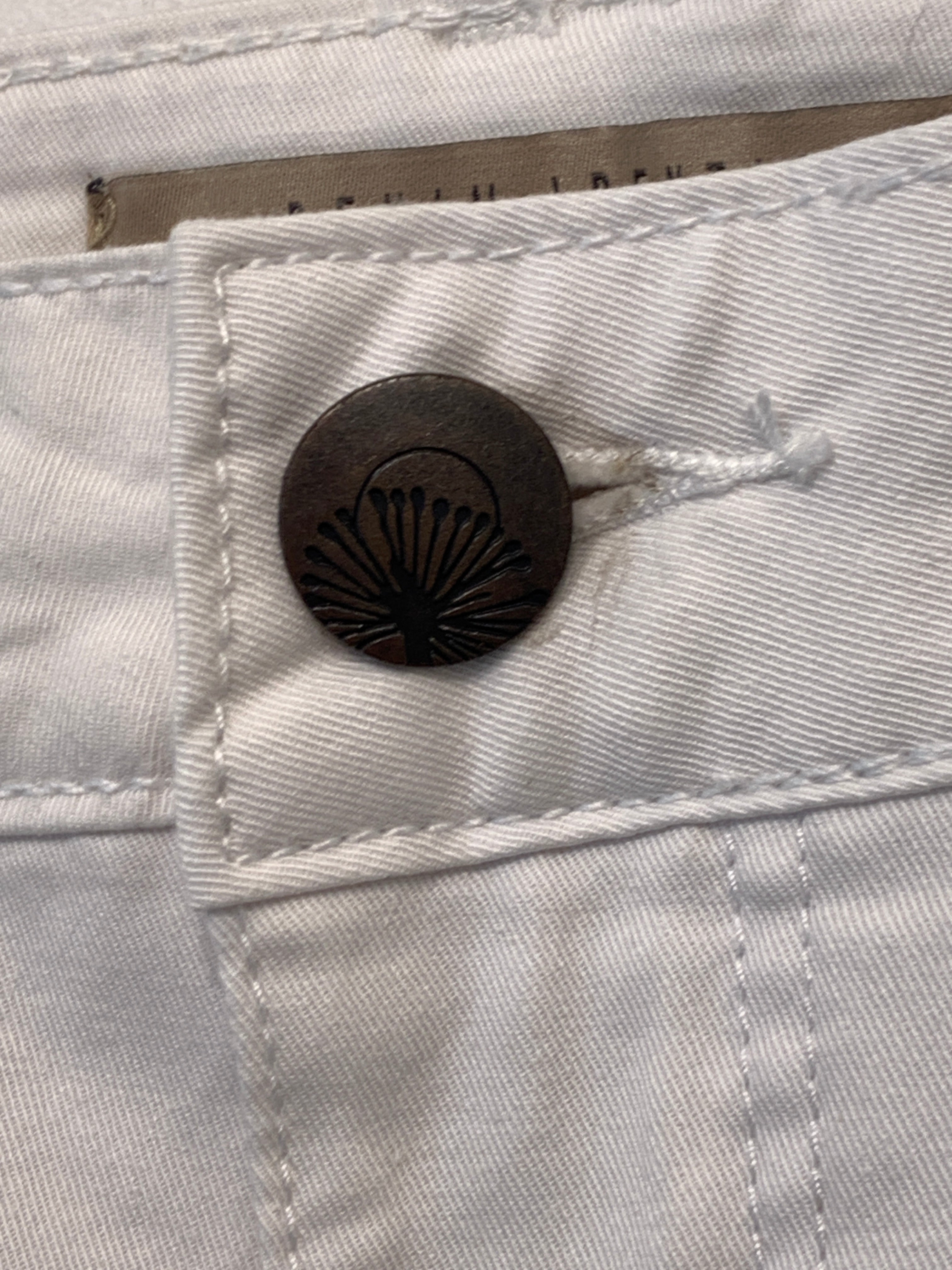 Zizzi shorts