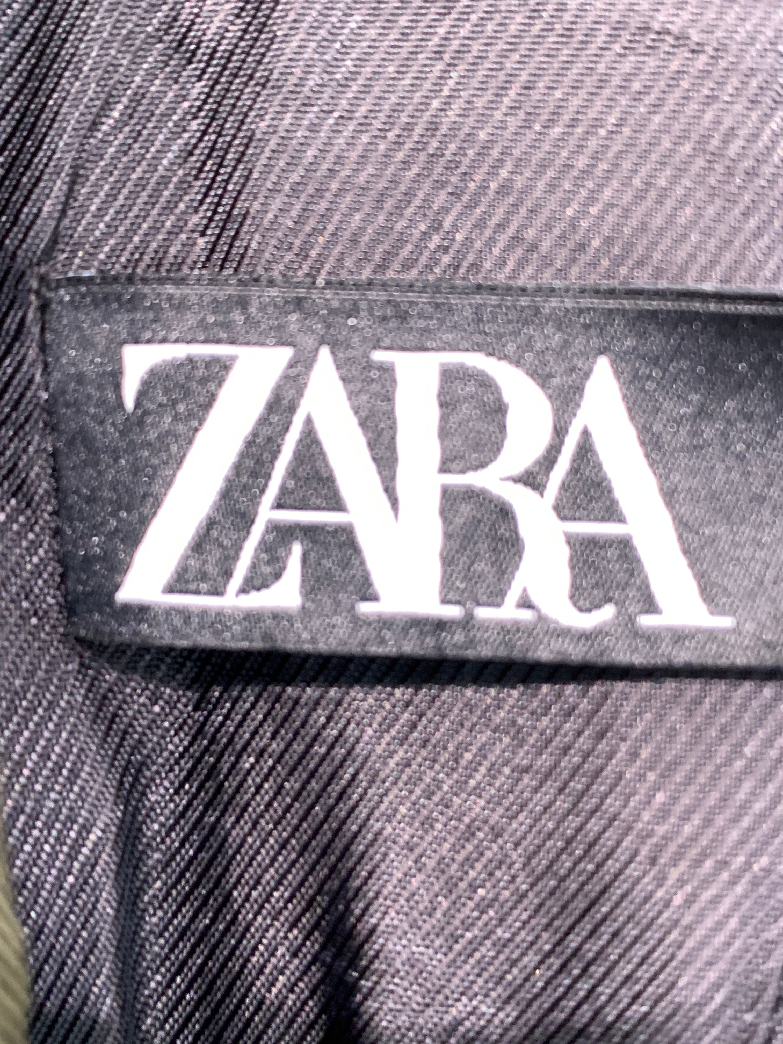 Zara Blazer