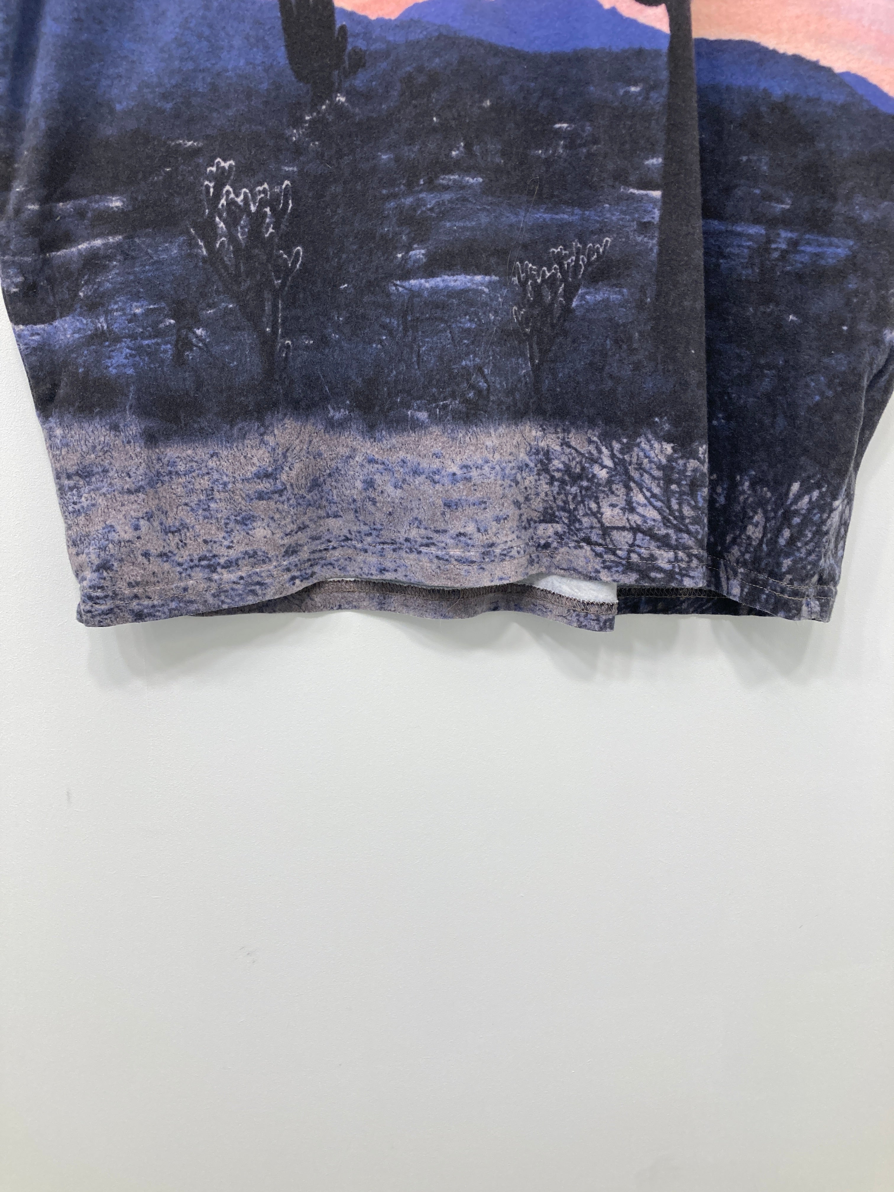 Hollister T-shirt