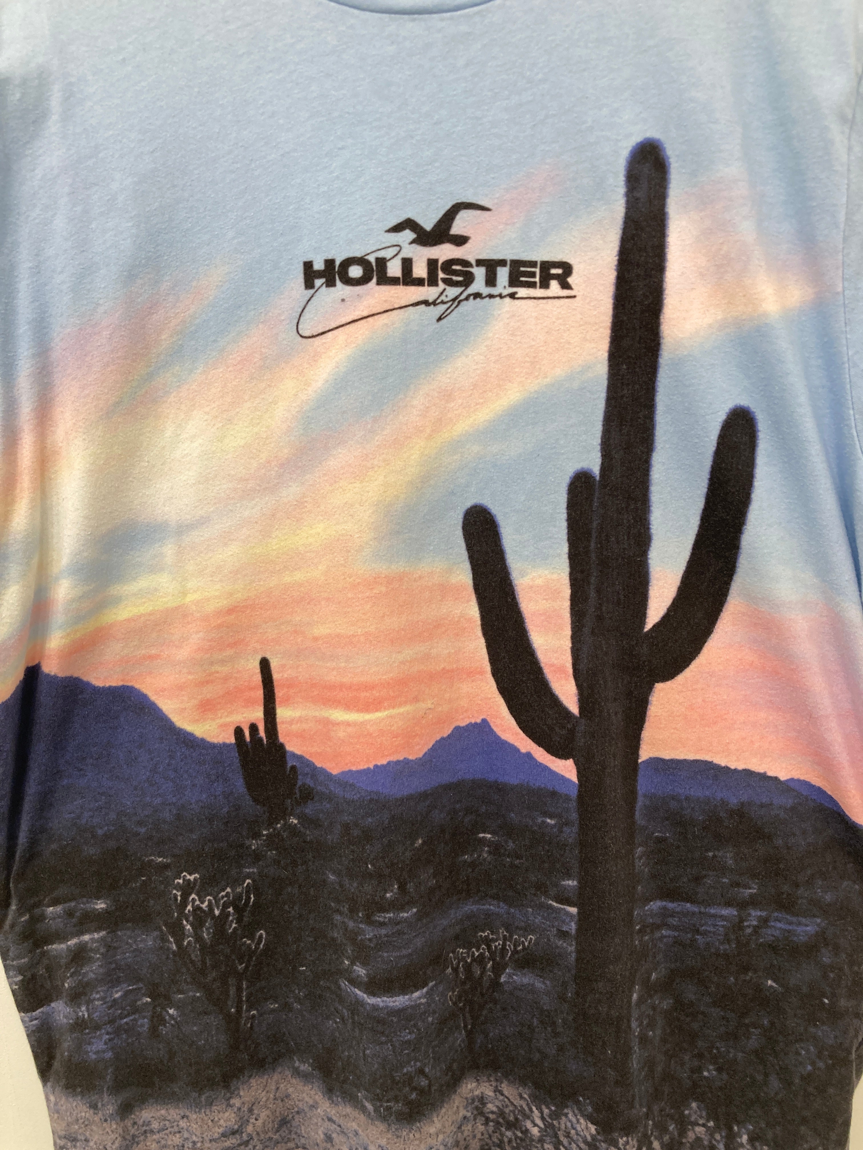 Hollister T-shirt