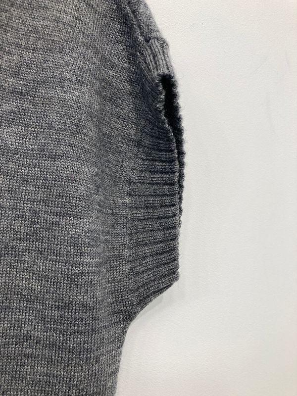 Two Danes Vest