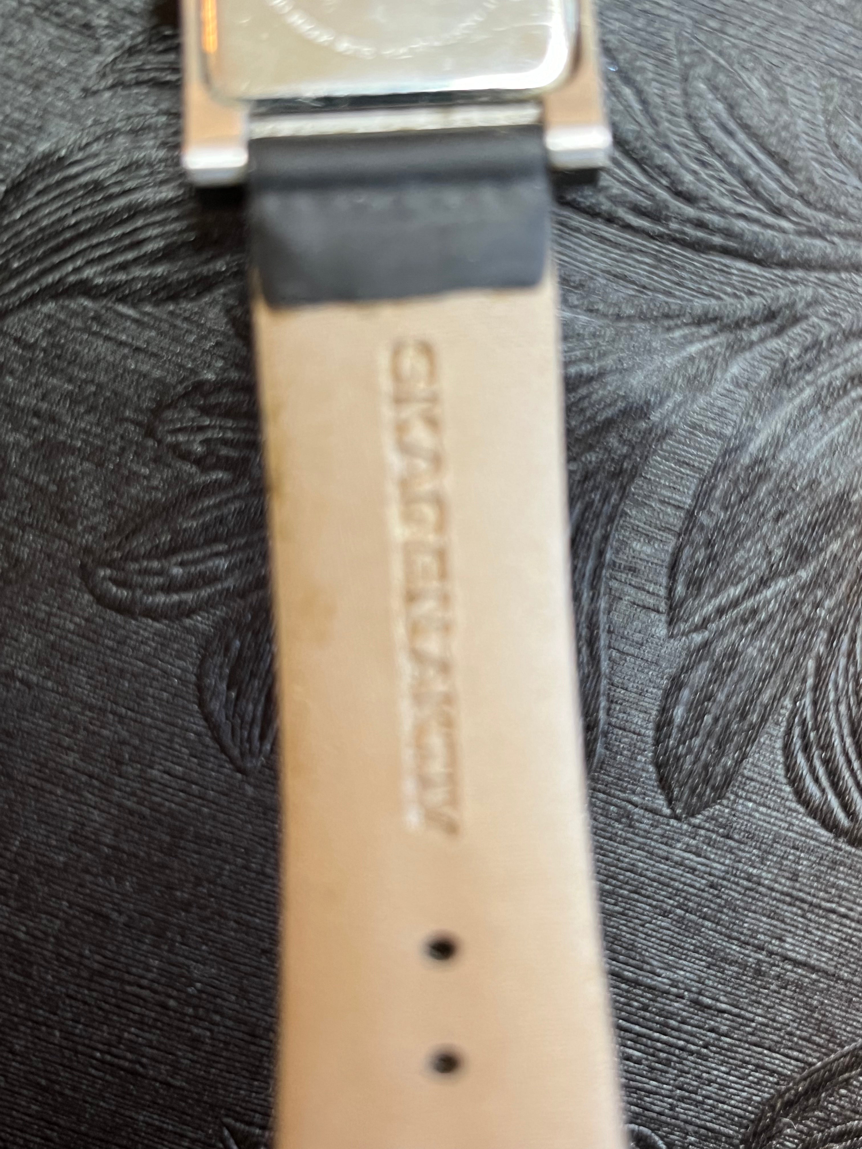 Skagen Ur