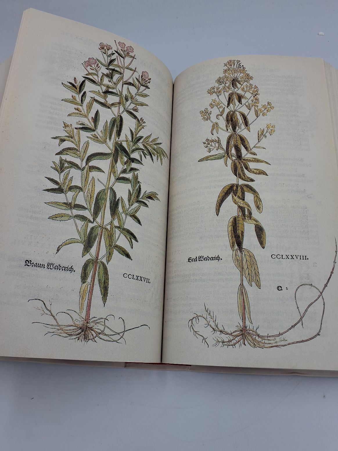 Bog: The New Herbal of 1543