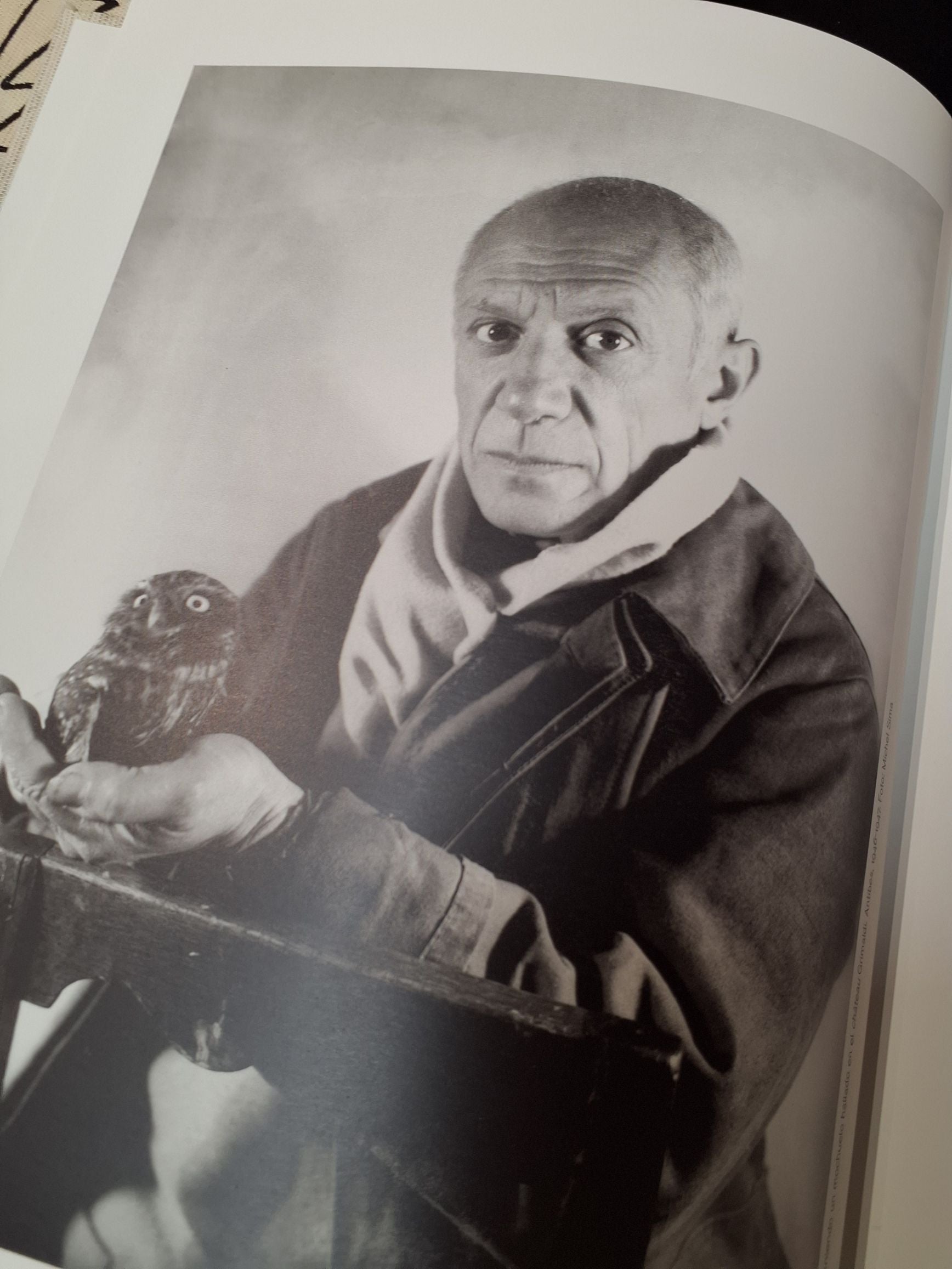 Museo Picasso Malaga