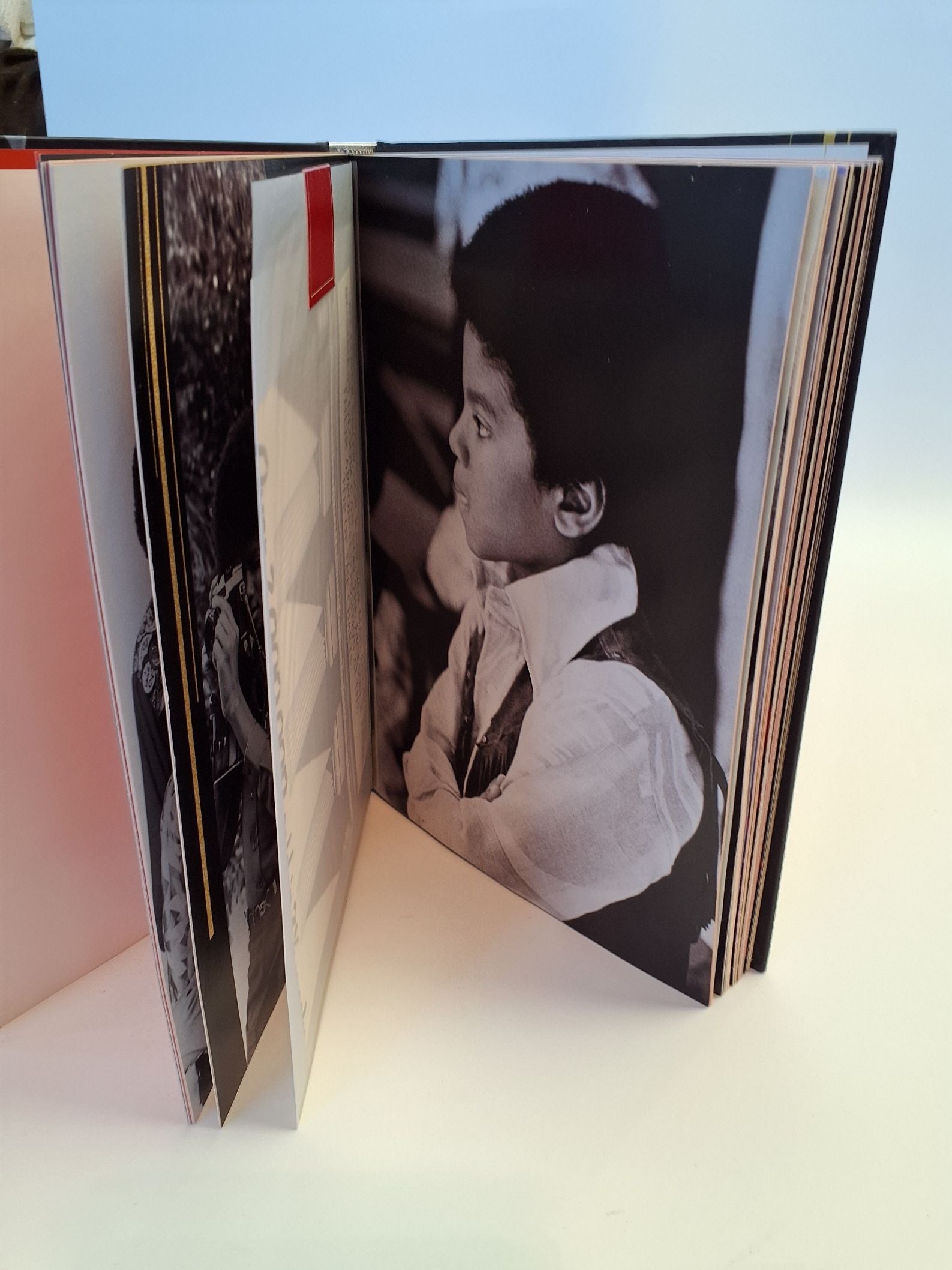 Michael Jackson Treasures bog