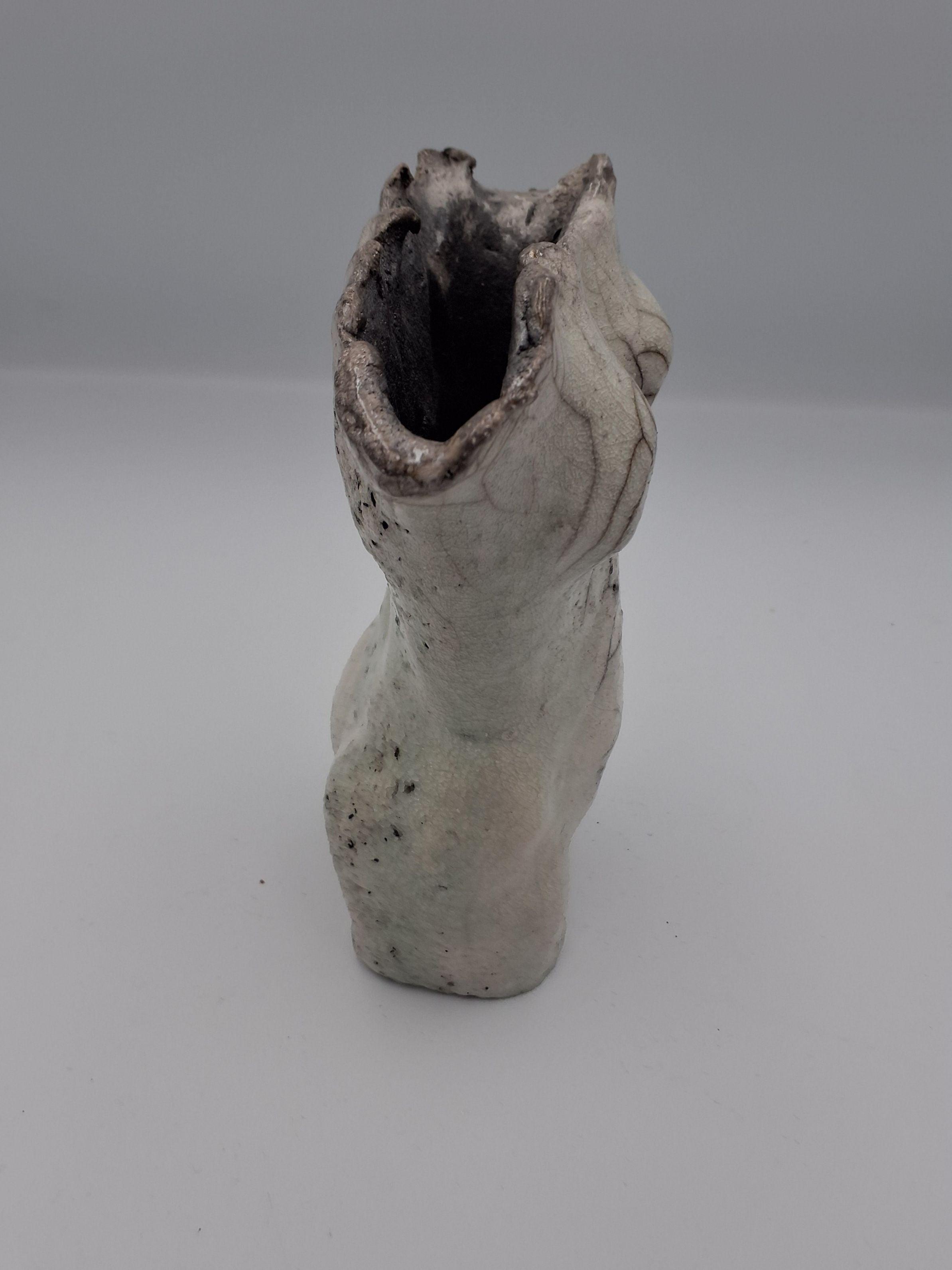 Raku Torso