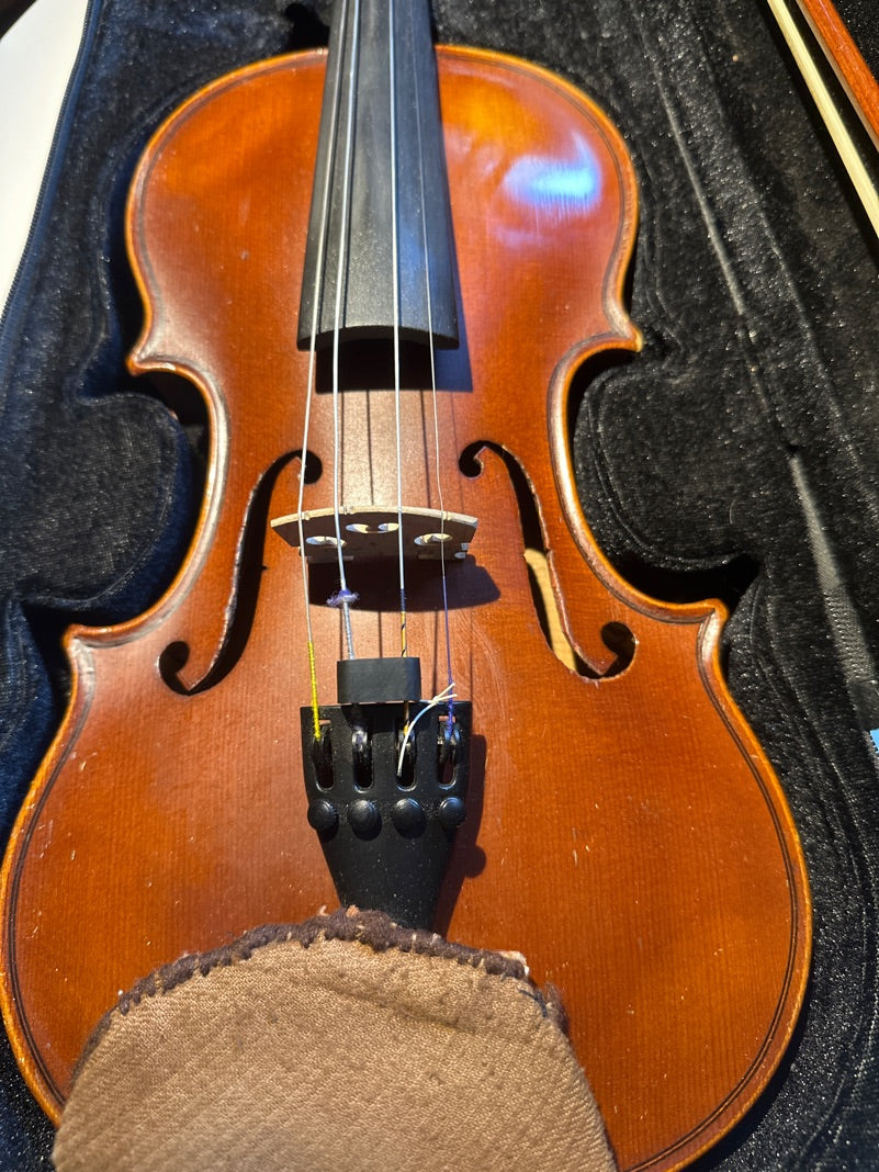 Violin fra Alexander Christoph