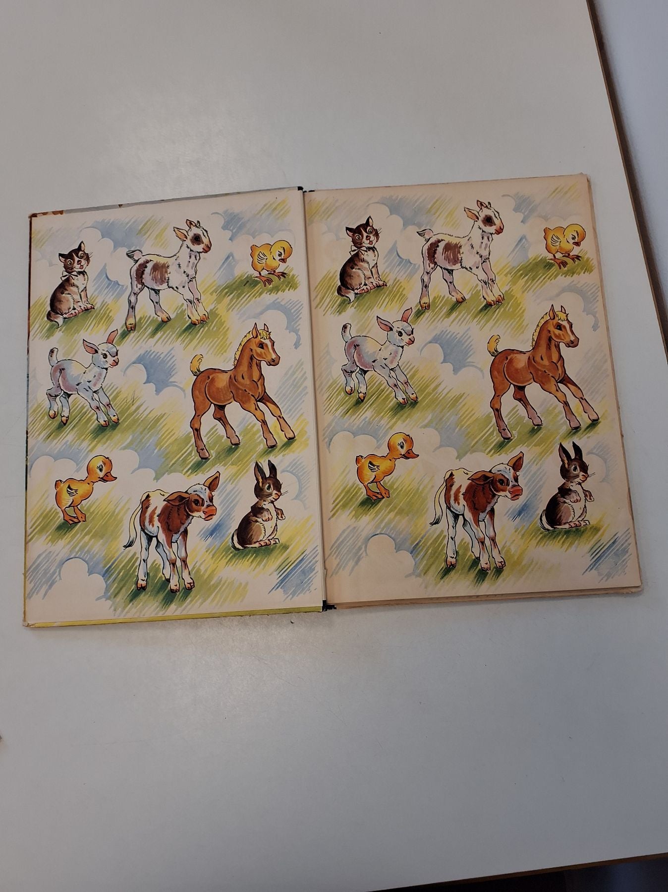 Storstadsbarnens sommerferie