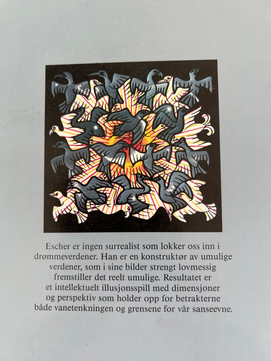 M. C. Eschers trollspeil