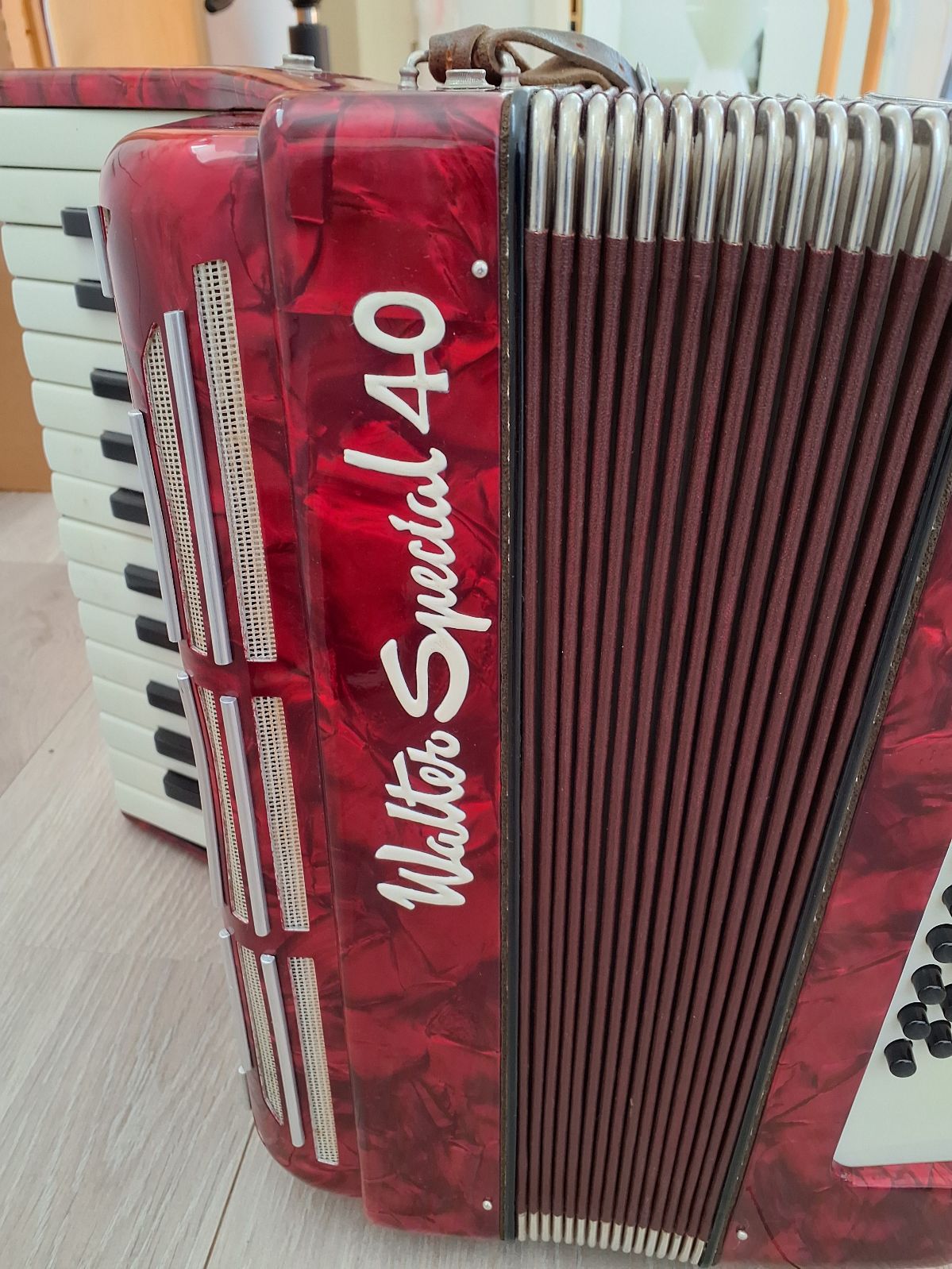 Harmonika junior