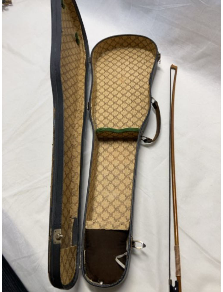 Violin