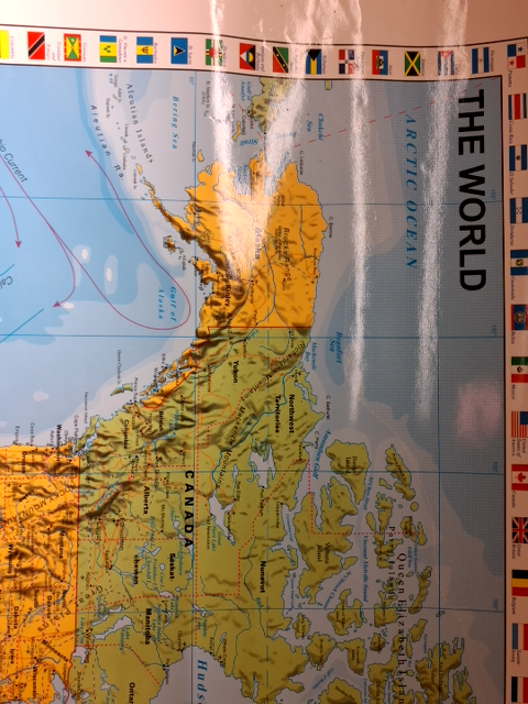 Verdenskortet med flag