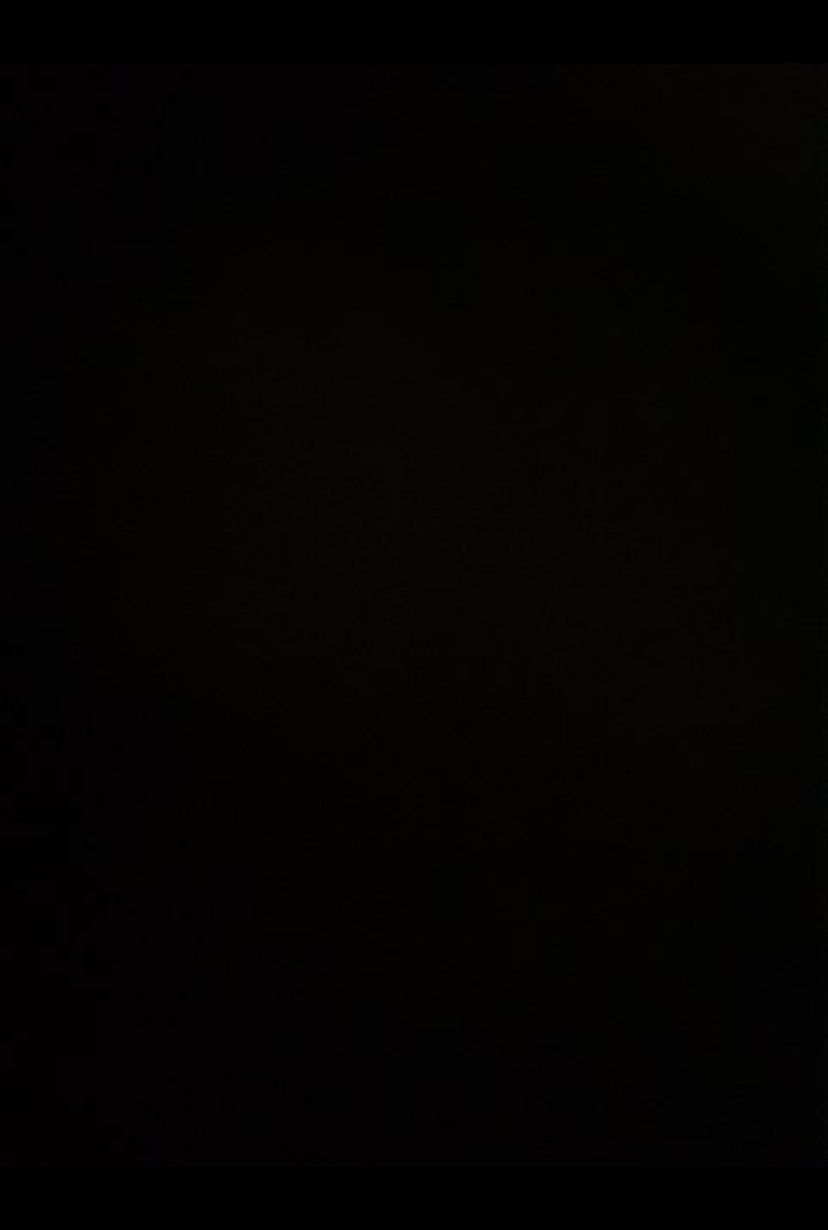 Stål regler 3000x120