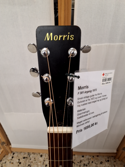 Morissette Giutar Type:F 301