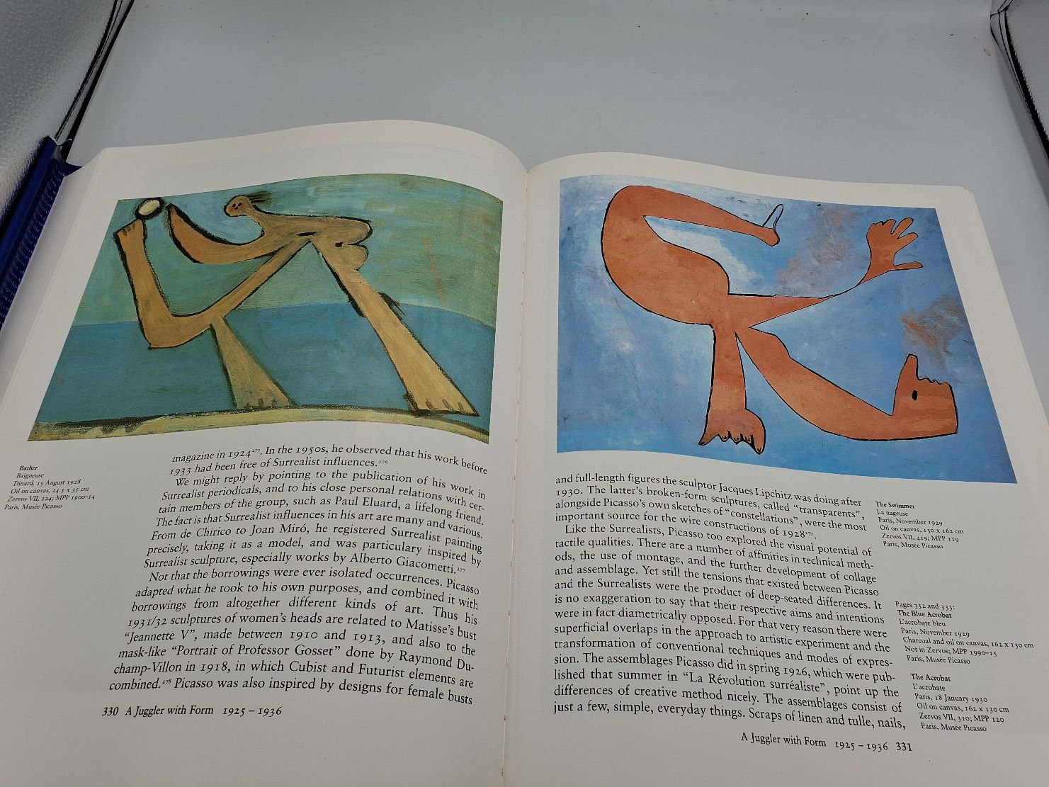 Bog: Picasso