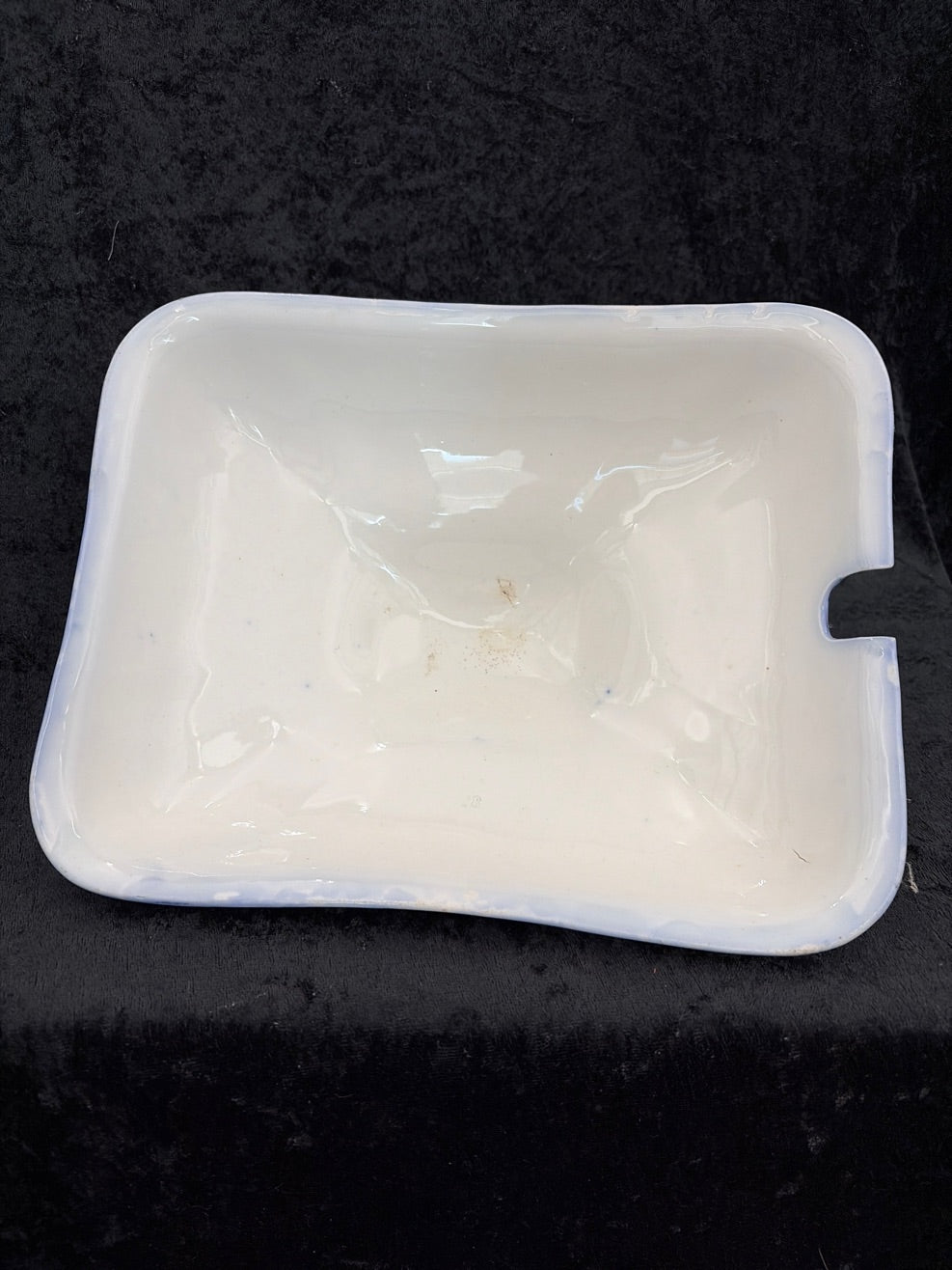 Wedgwood suppeterrin