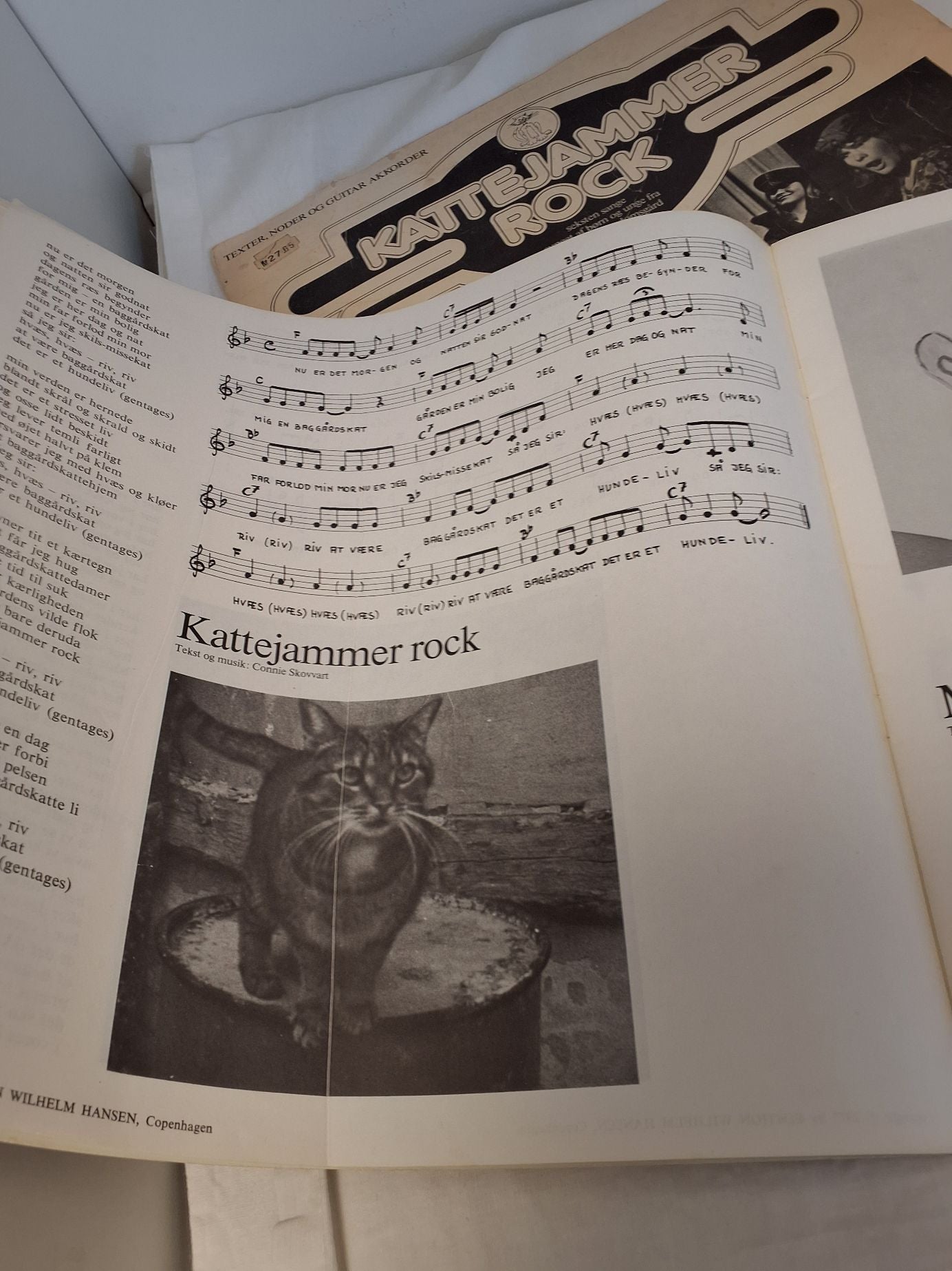 Kattejammer rock