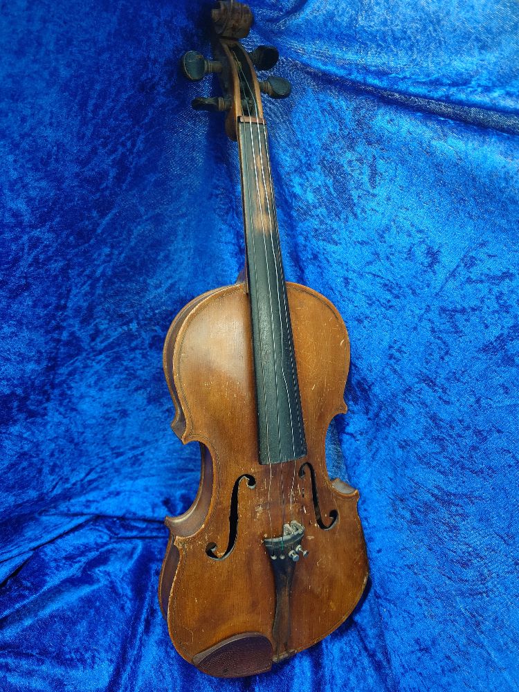 Violin