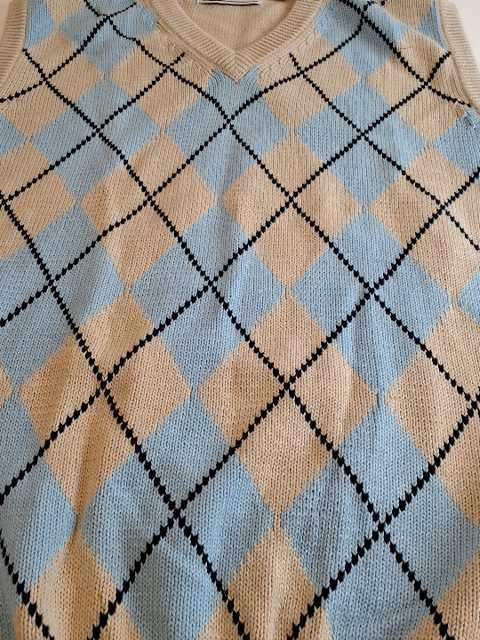 Van Heusen Vest