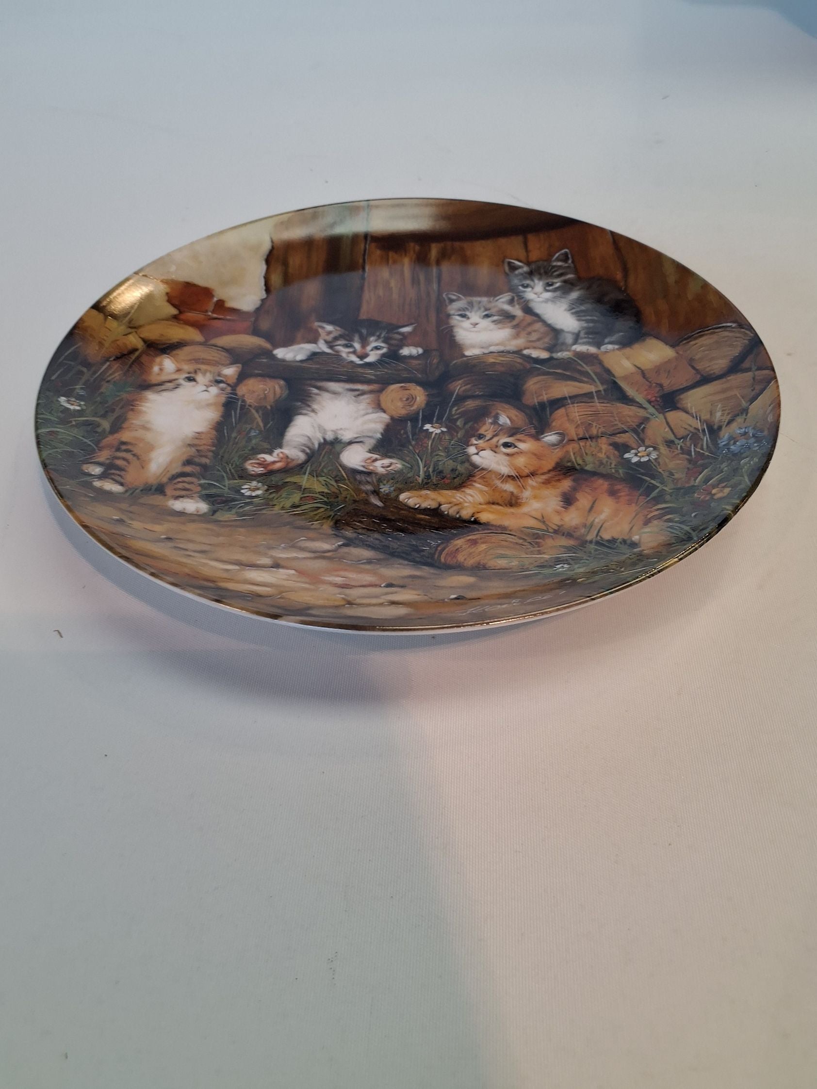 6 Wolfgang Keiser Katte platte