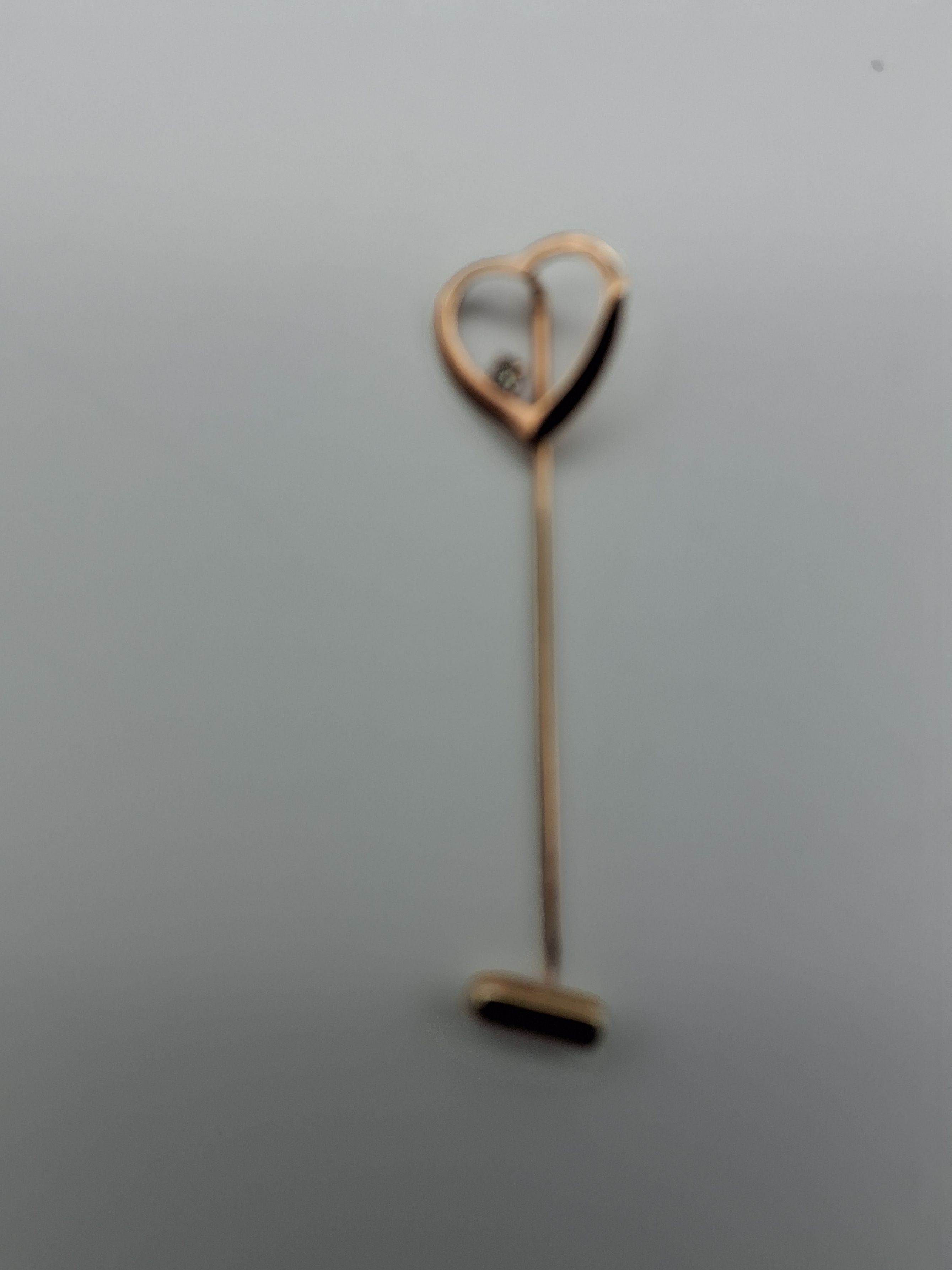 Brocher/Pins