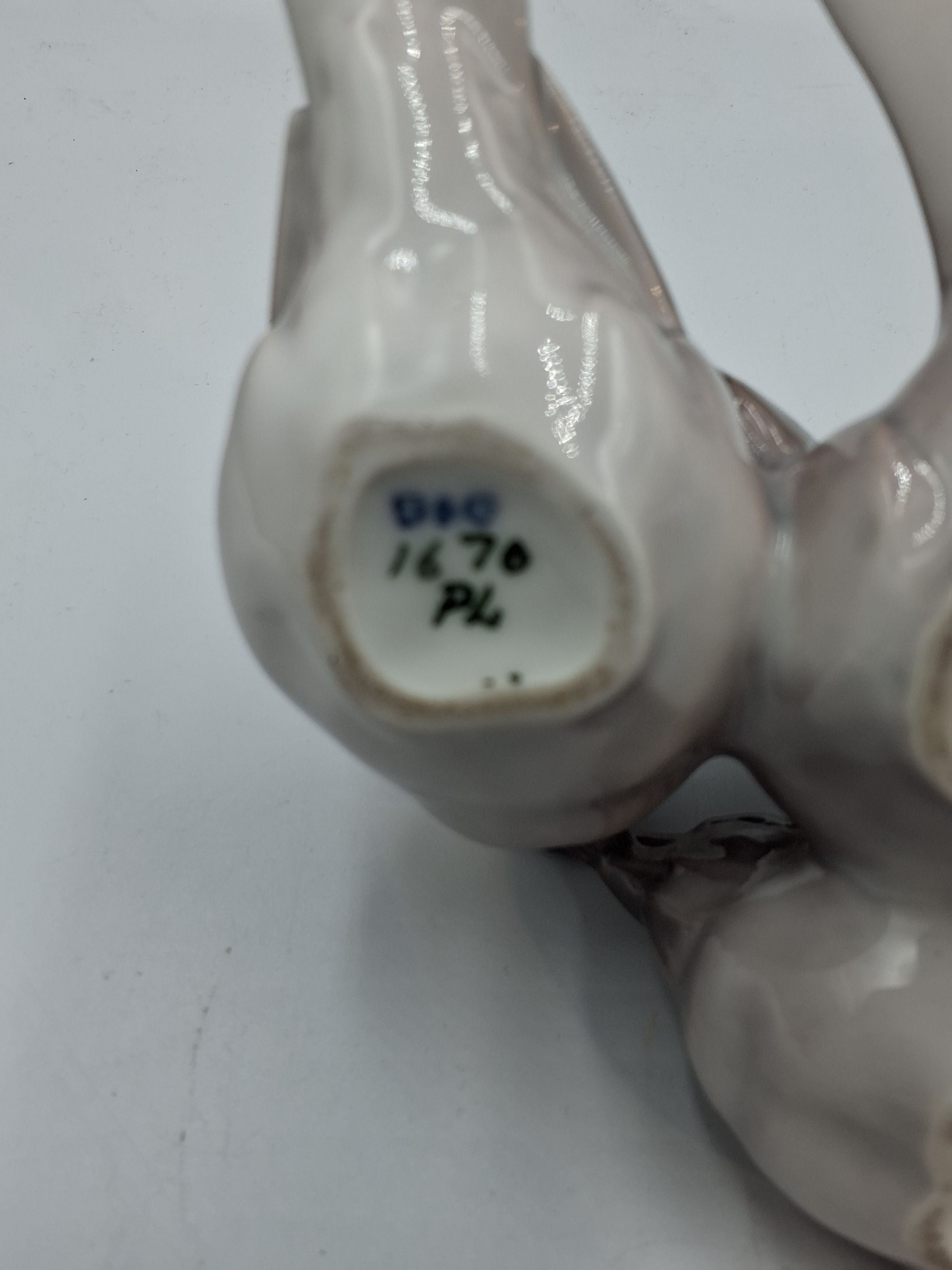 B & G fugle 1670