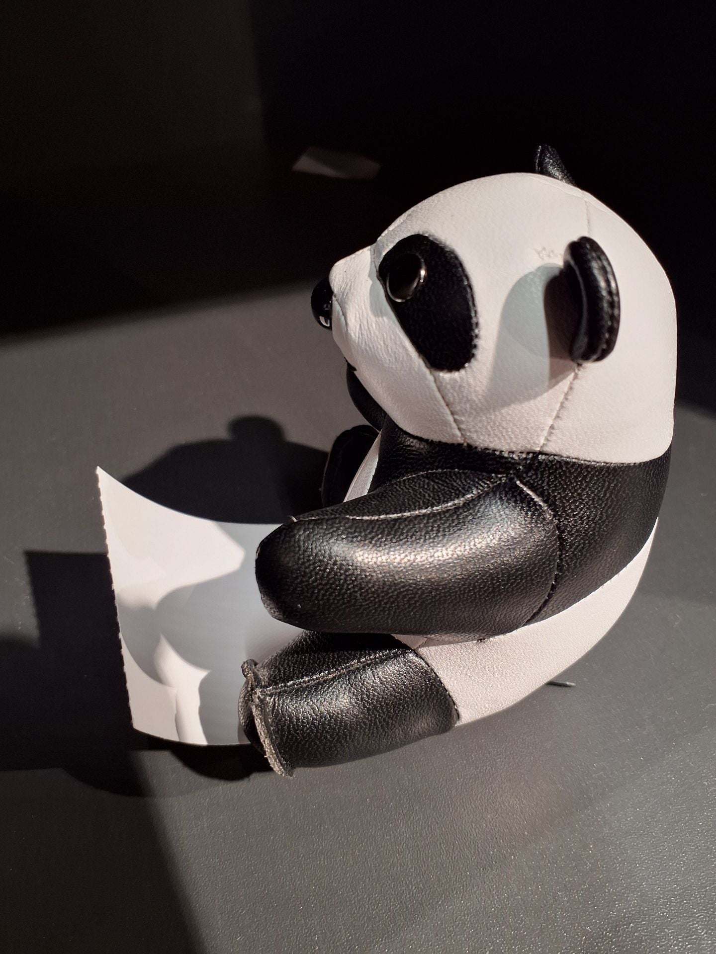 Züny panda