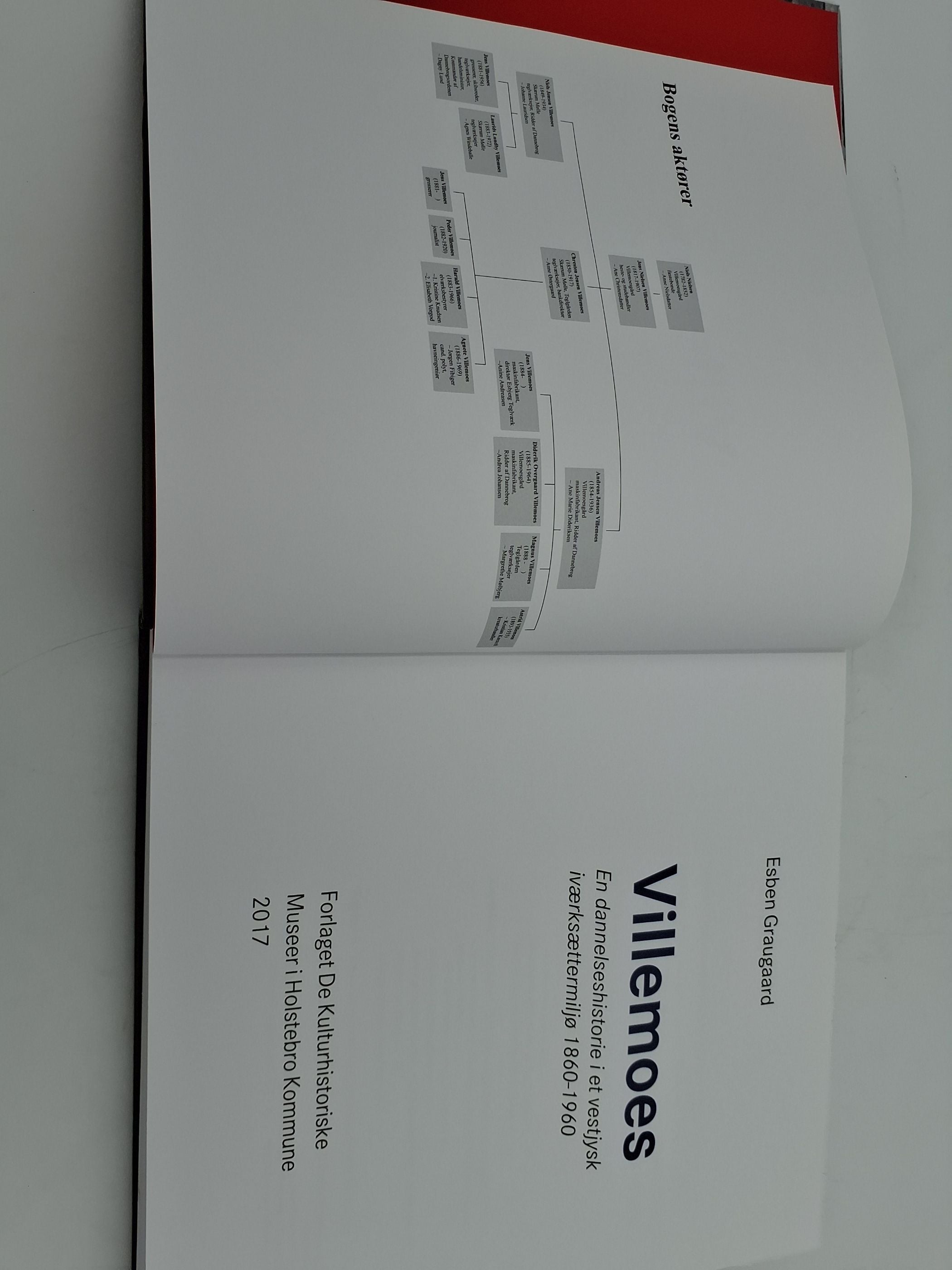 Villemoes en dannelseshistorie i et vestjysk iværksættermiljø i 1860-1960
