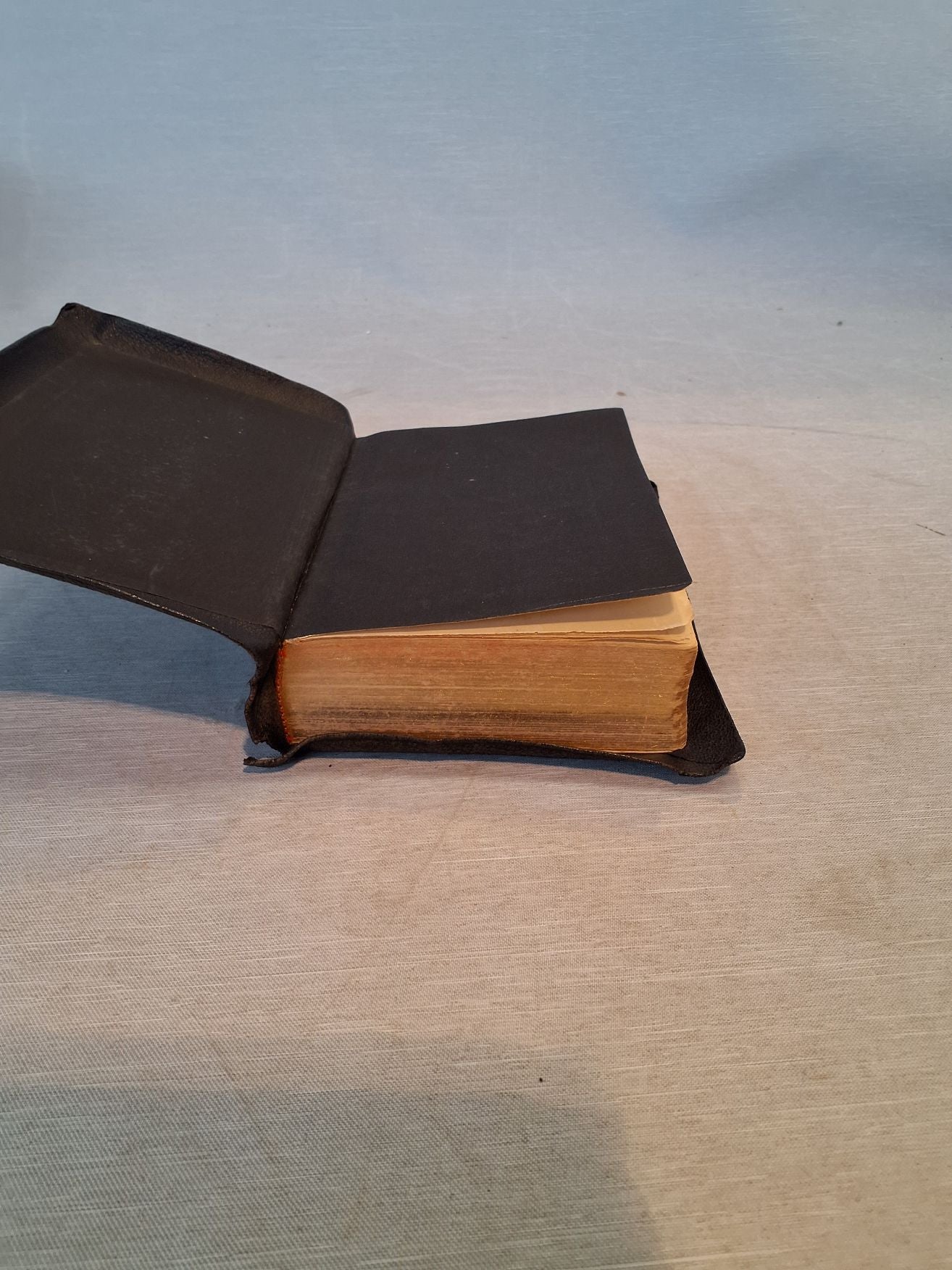 Bibel med Fingerregister