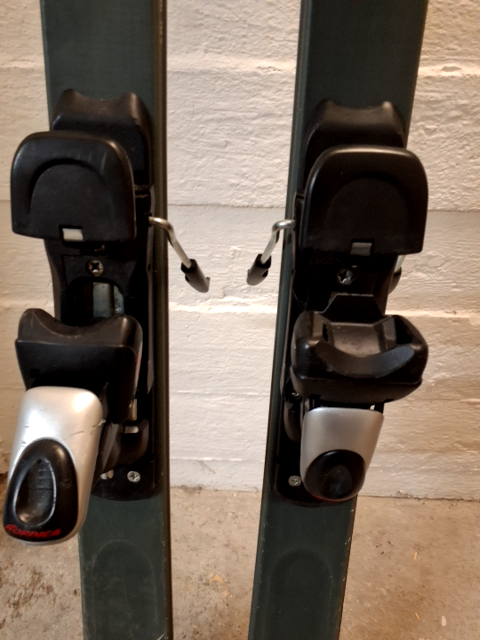 Alpine Ski Nordica