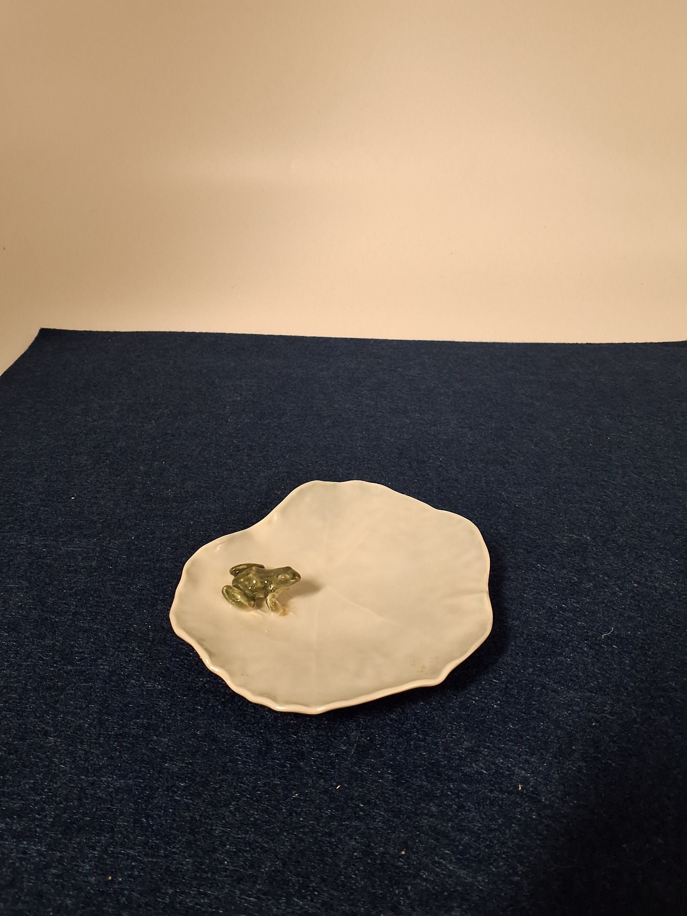 RC Frø på åkande 11 cm
