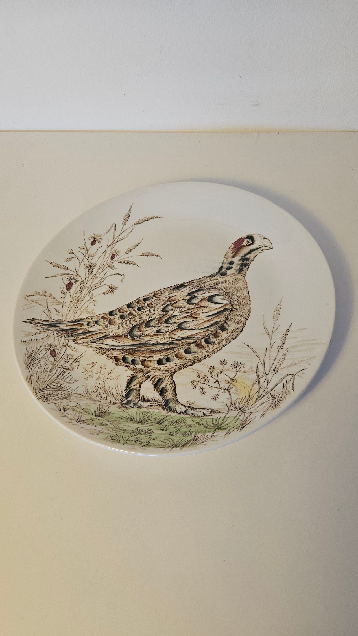 Red Grouse - Dugleplatte