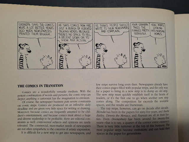 Tenth Anniversary book A Calvin and Hobbes collection